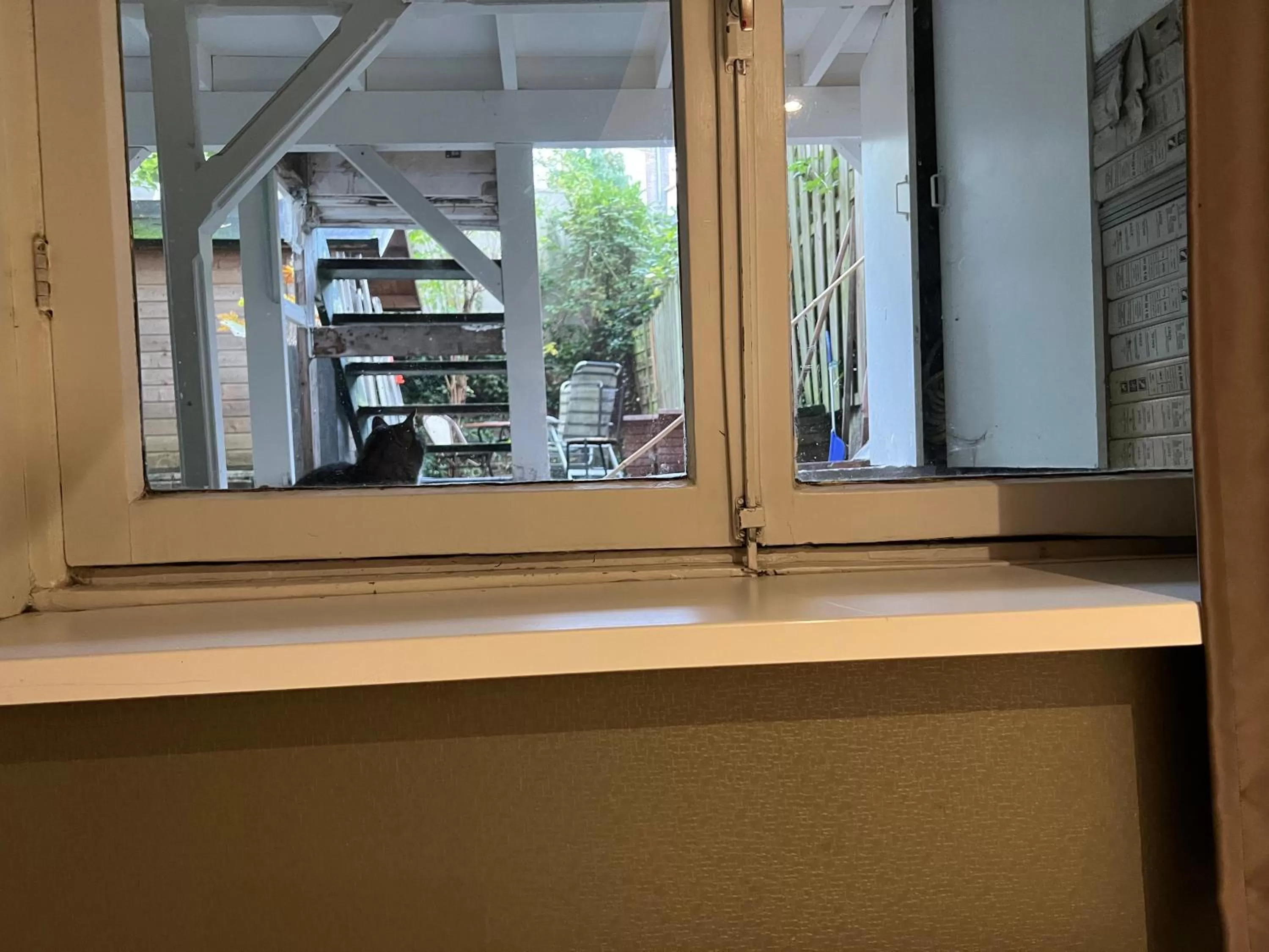 Garden view in Blossoms City Hotel