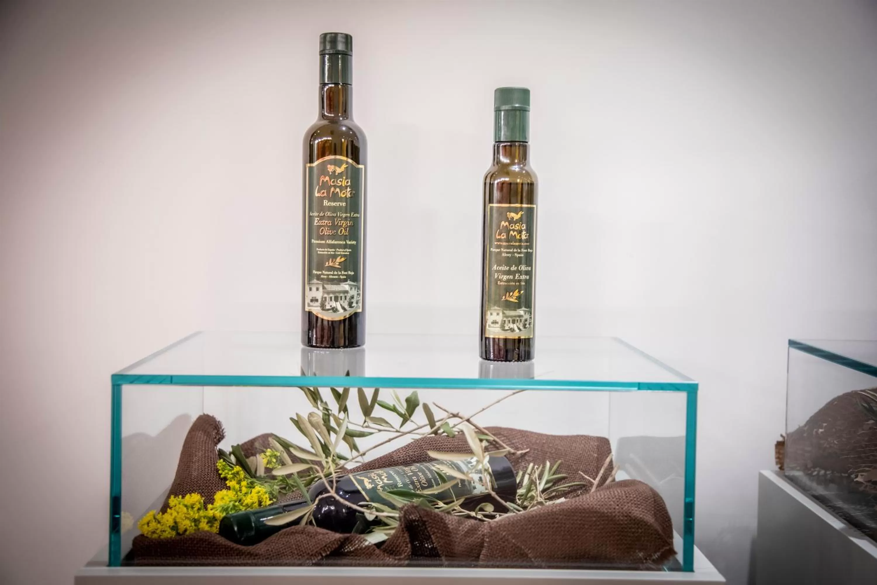 Eco Hotel con encanto Masía la Mota B&B