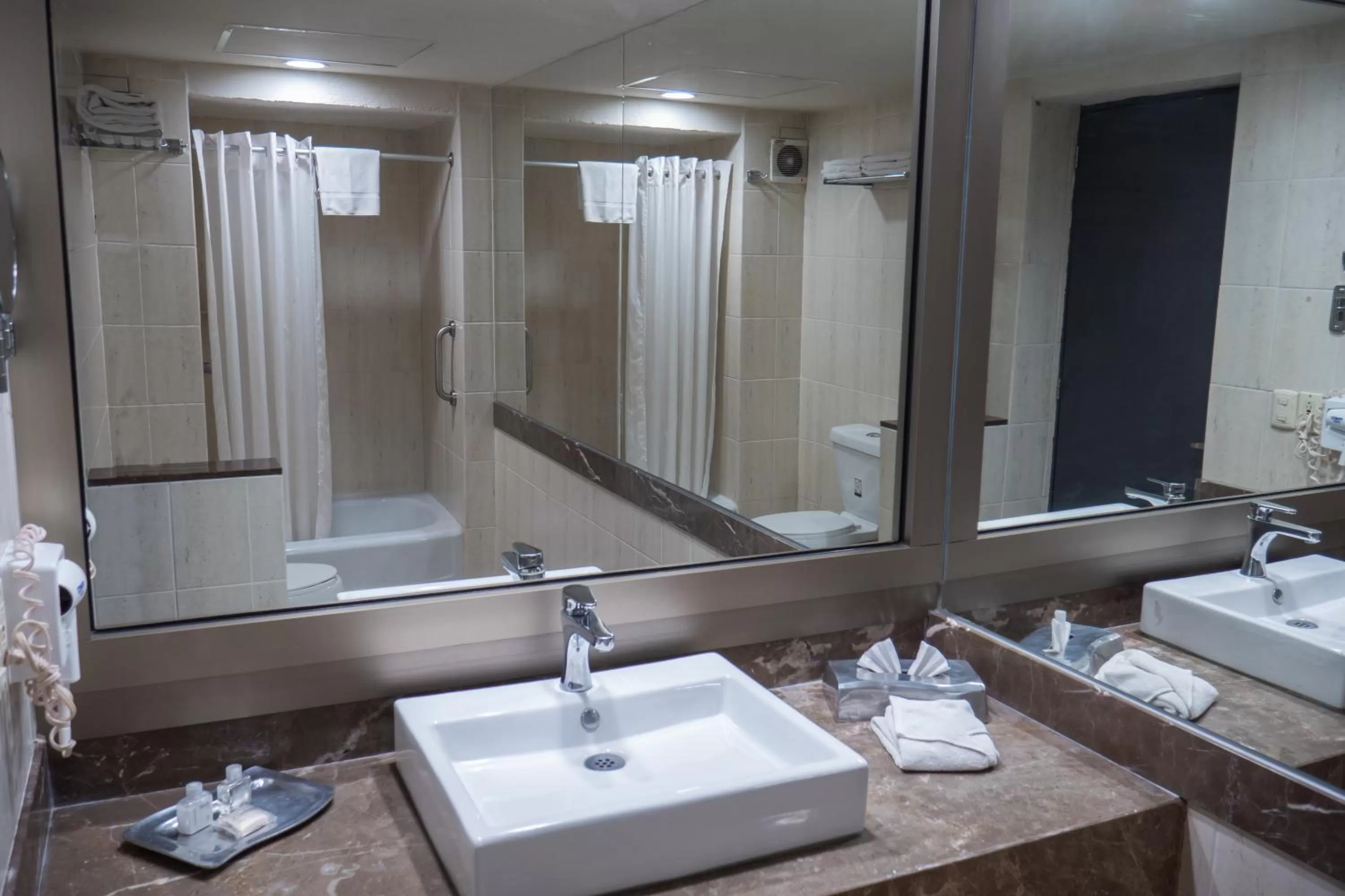 Bathroom in Hotel Fenix