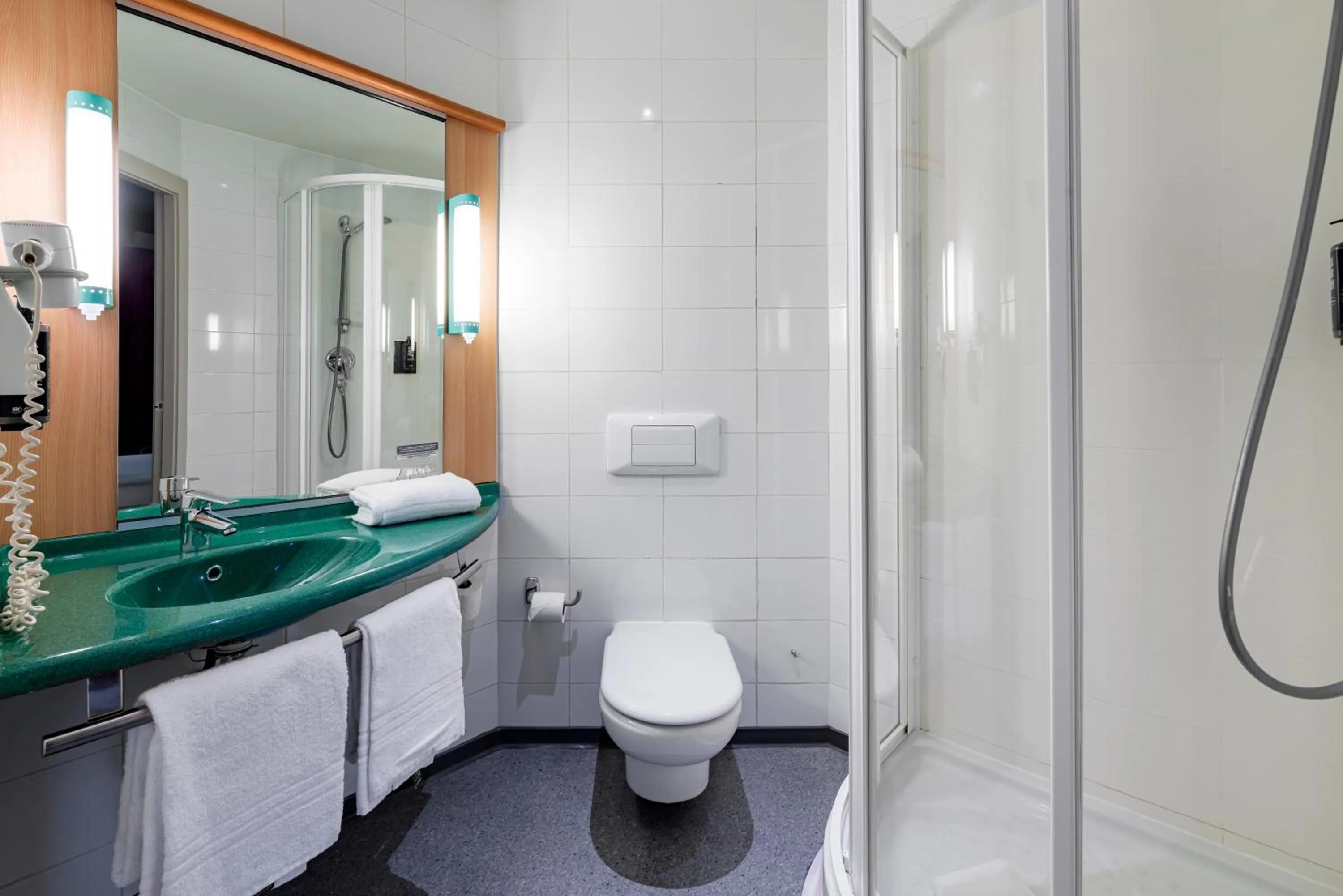 Toilet in Ibis Madrid Getafe