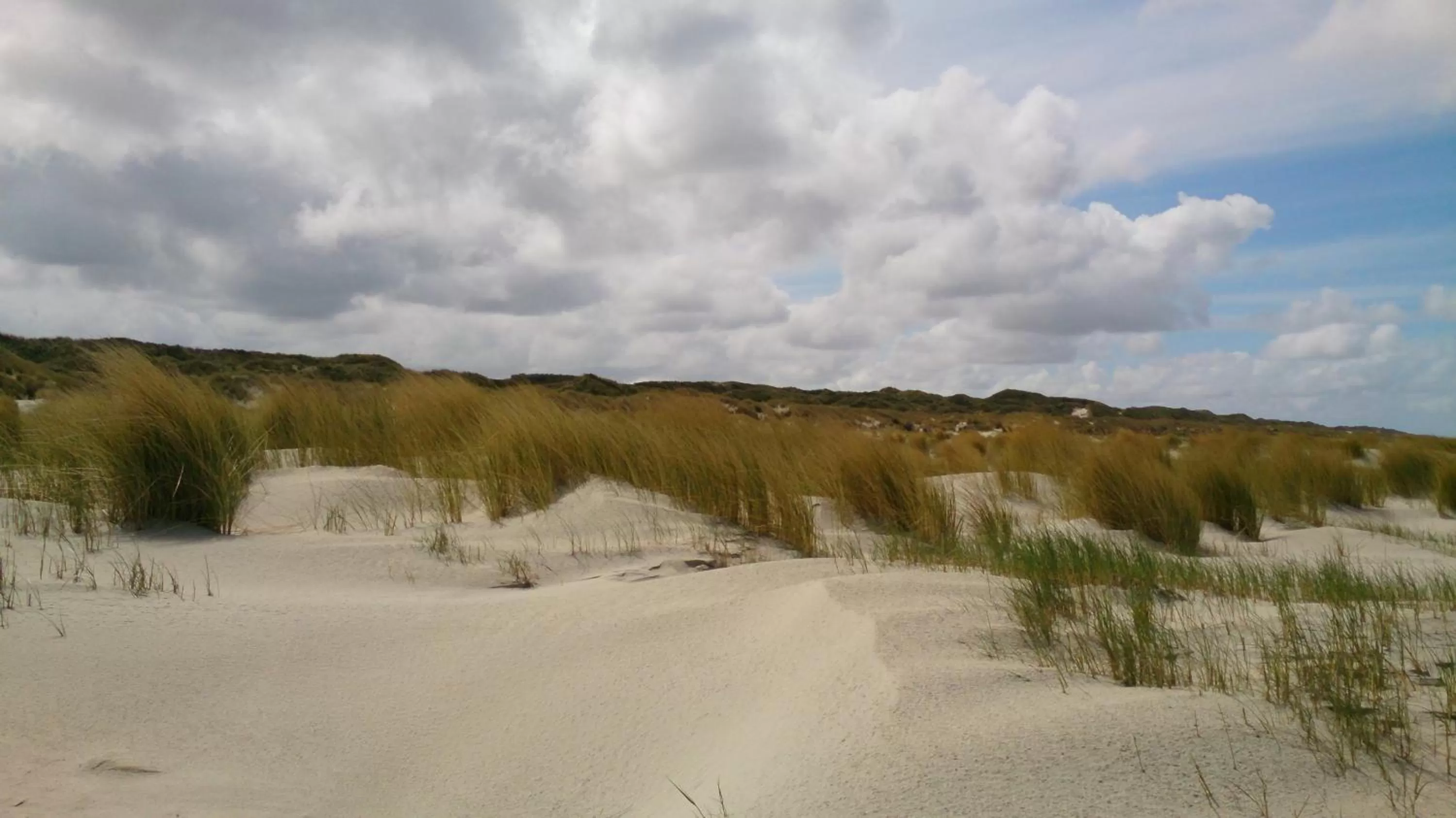 Beach in Strandhotel Juister Hof