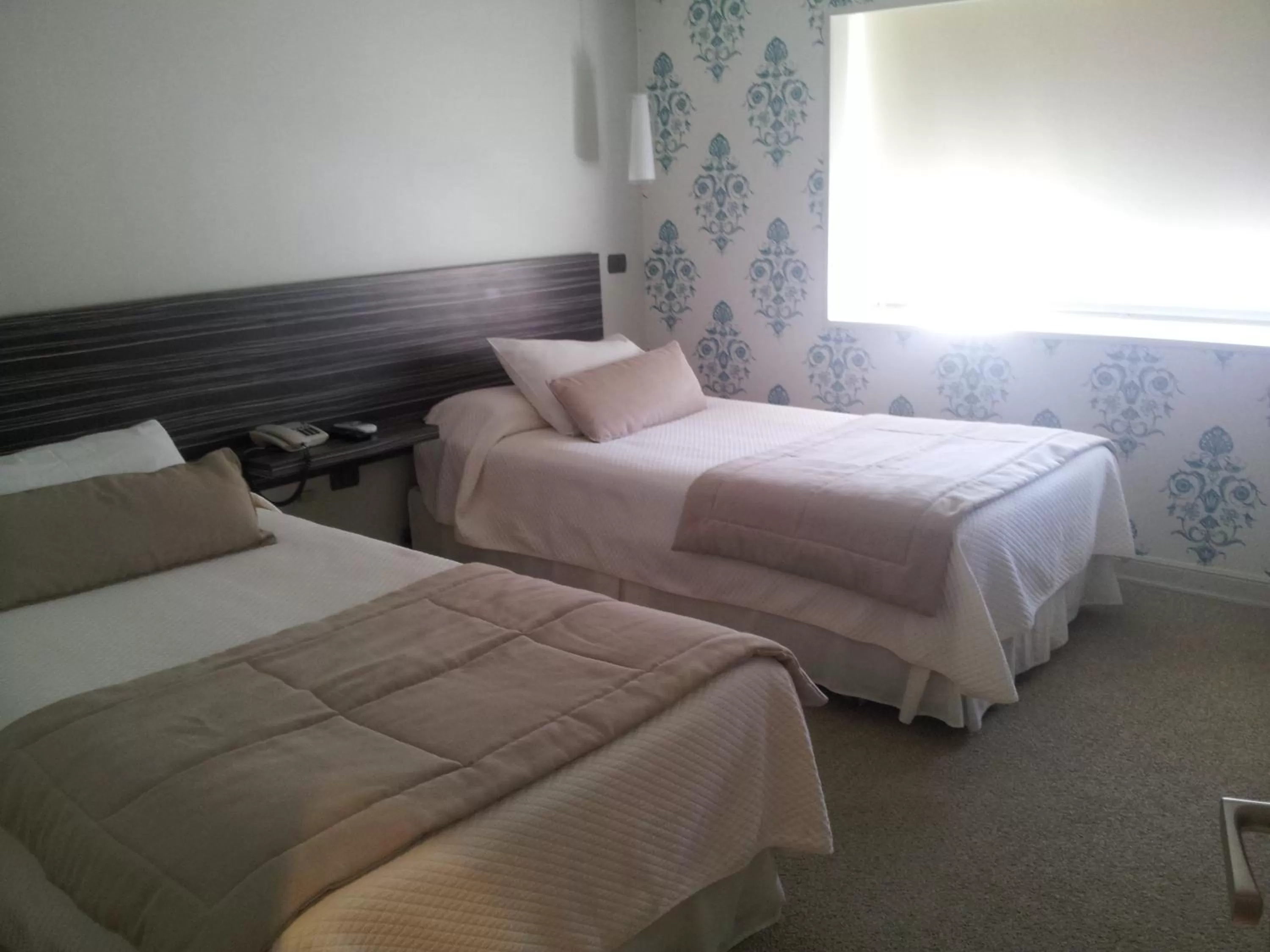 Photo of the whole room, Bed in Hotel Las Terrazas Business