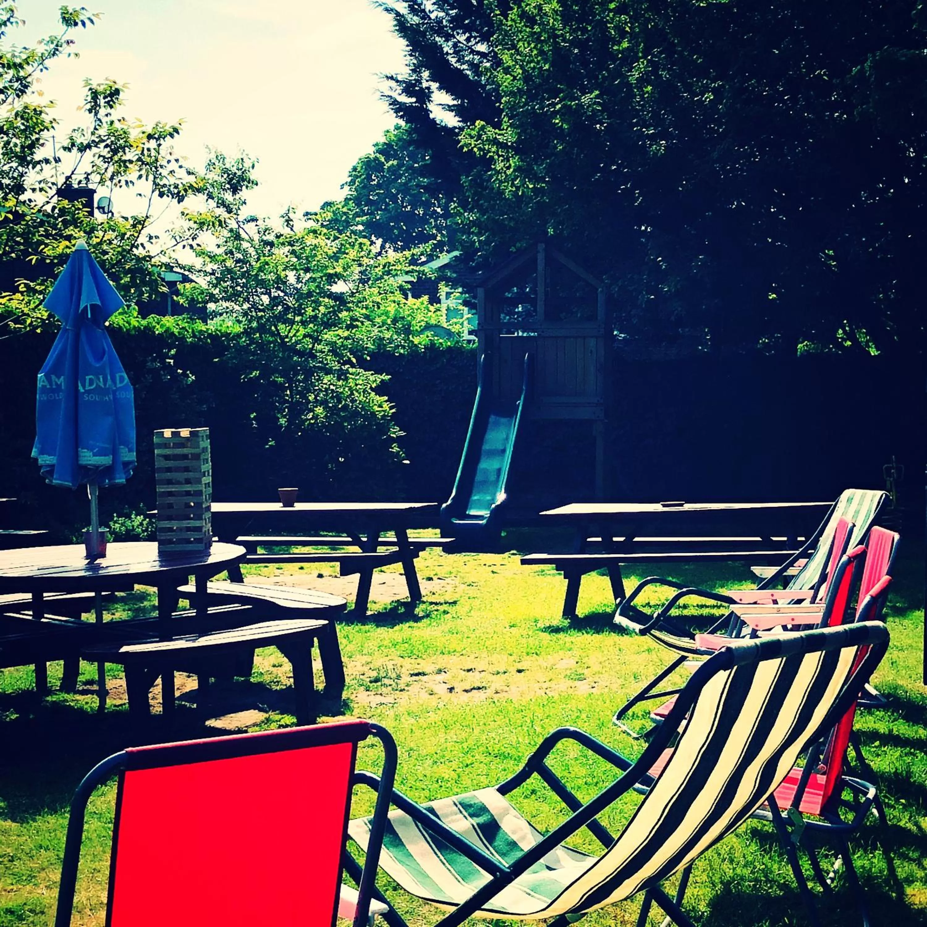 Garden in The Cherry Tree