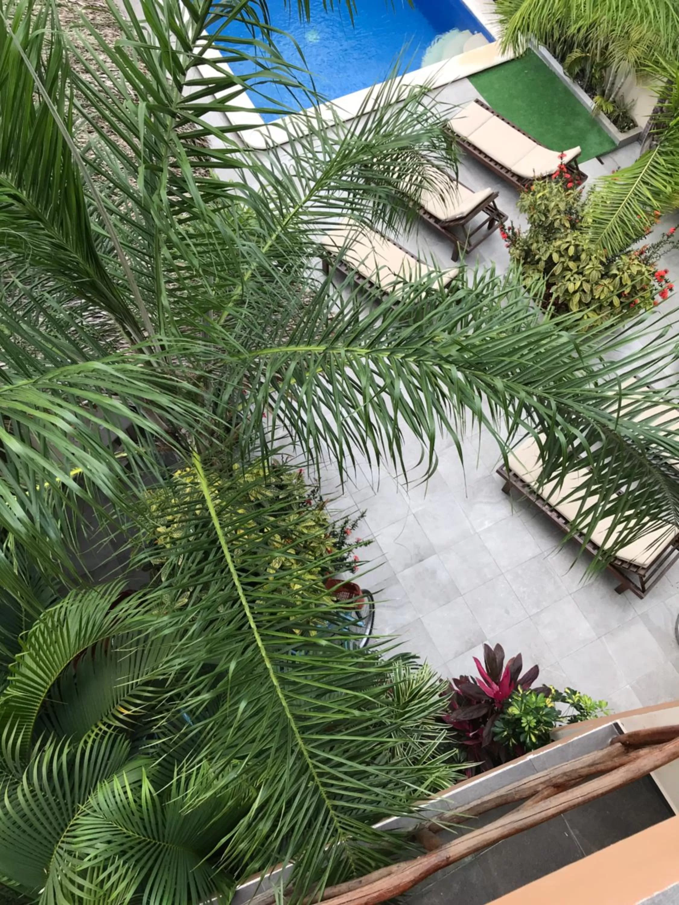 Day, Property Building in Basic Tulum