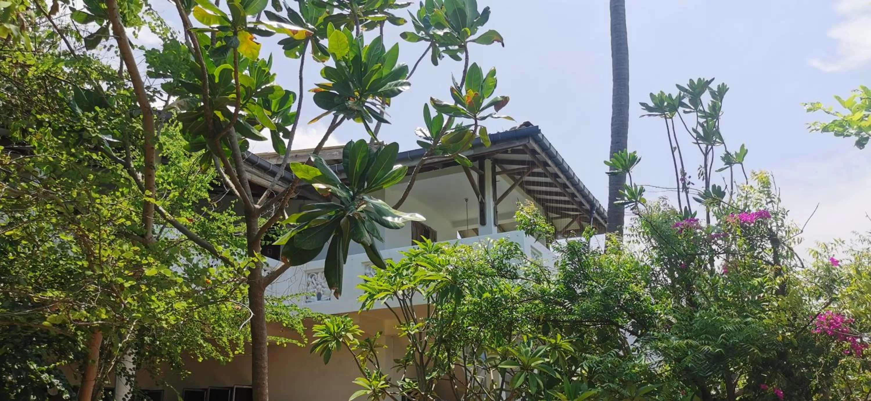 Property Building in Blackstar Inn