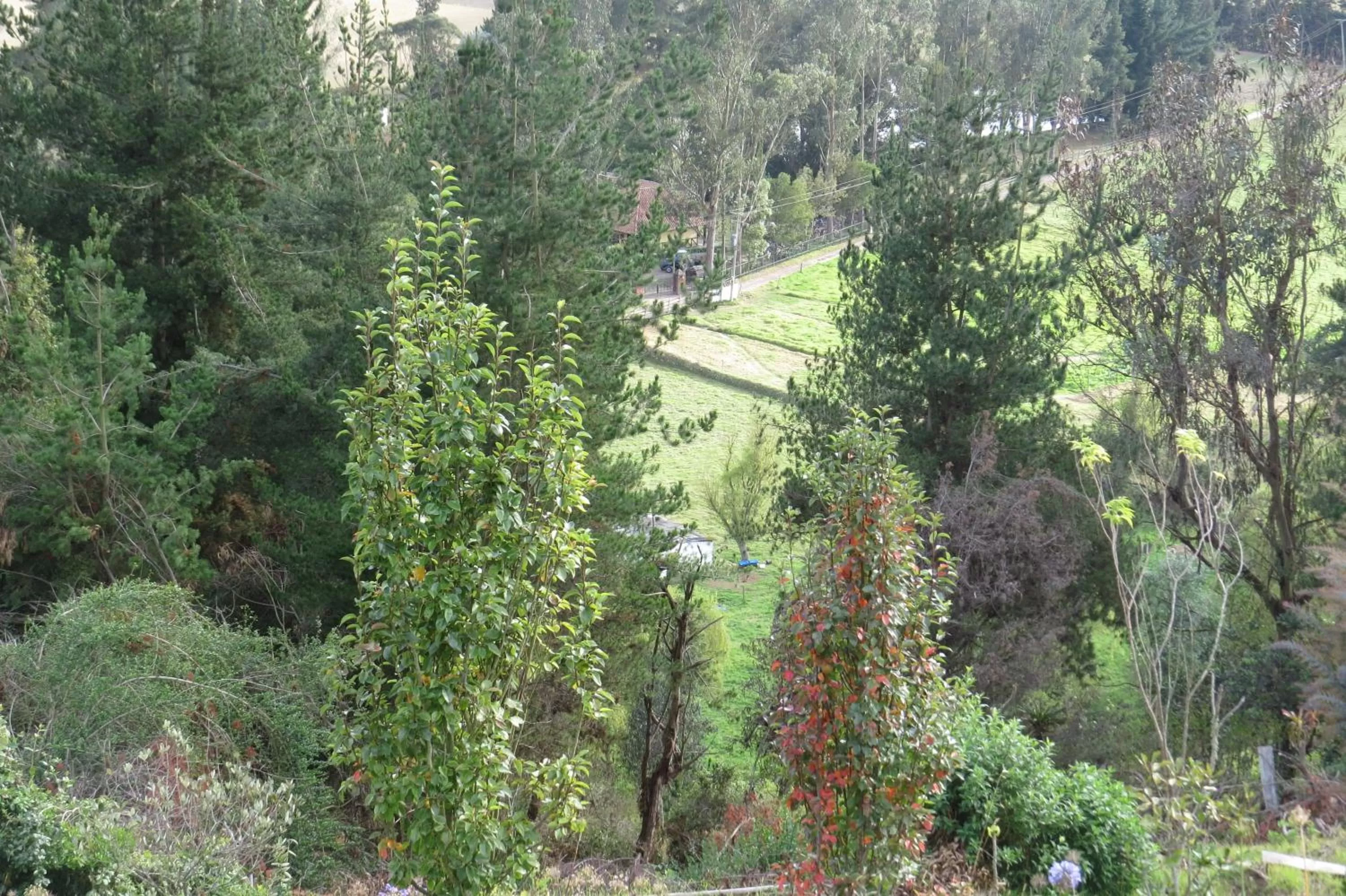Landmark view, Bird's-eye View in El Pedregal Sopó