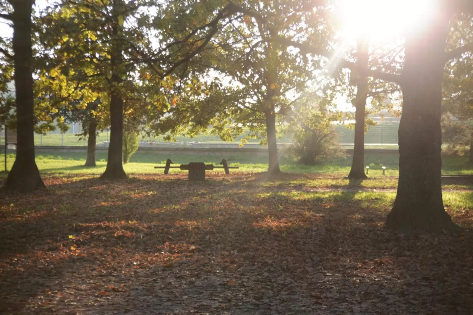 Garden in Albavillage Rooms & Camping