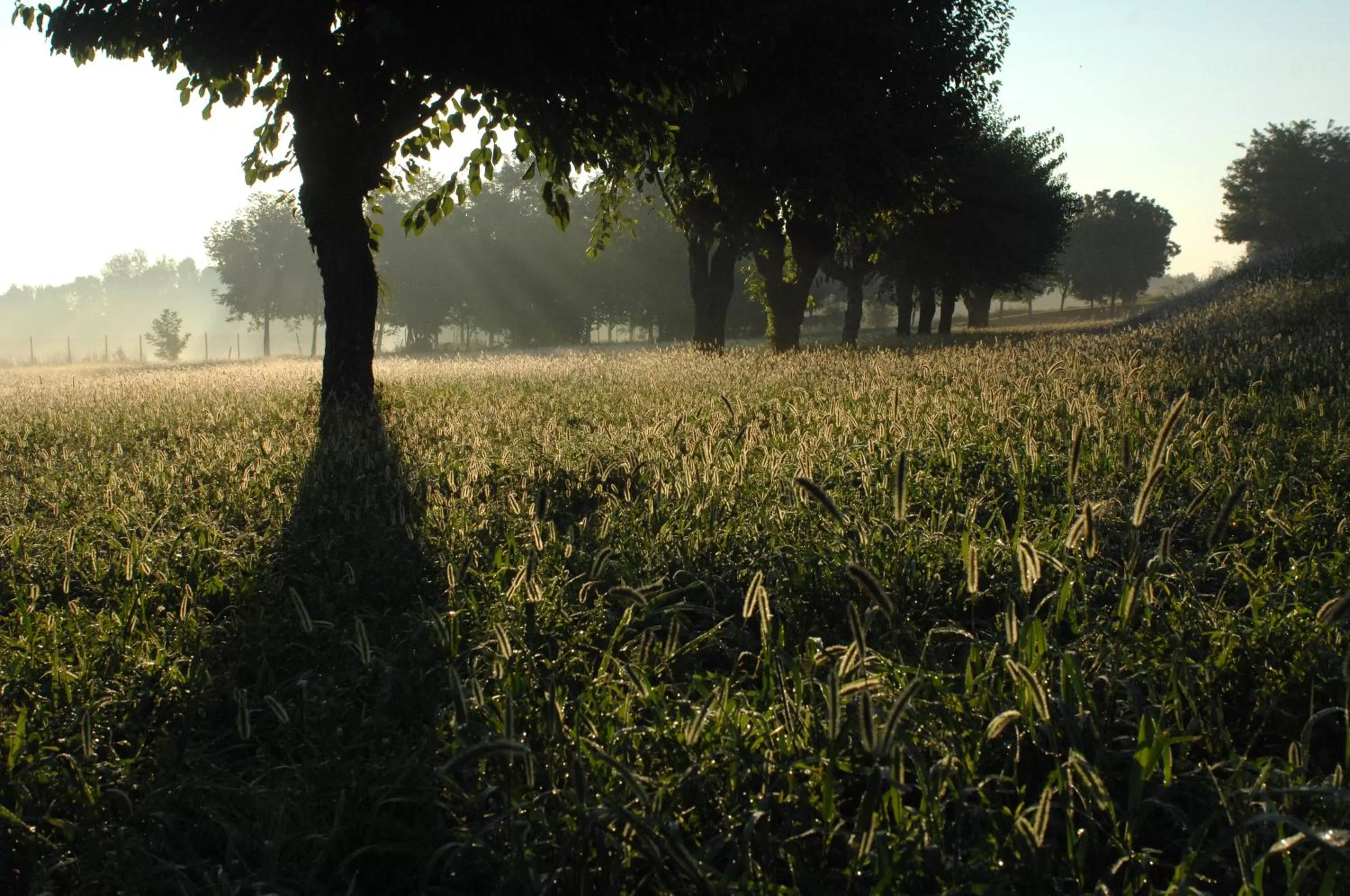 View (from property/room) in Hotel Scaldaferro