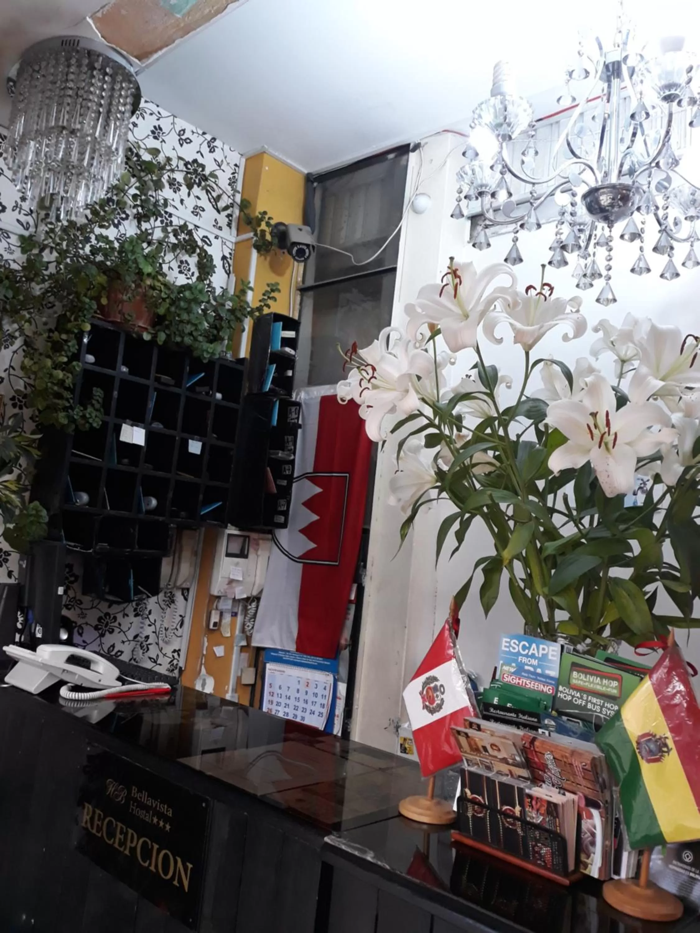 Hostal Terrabella SRL