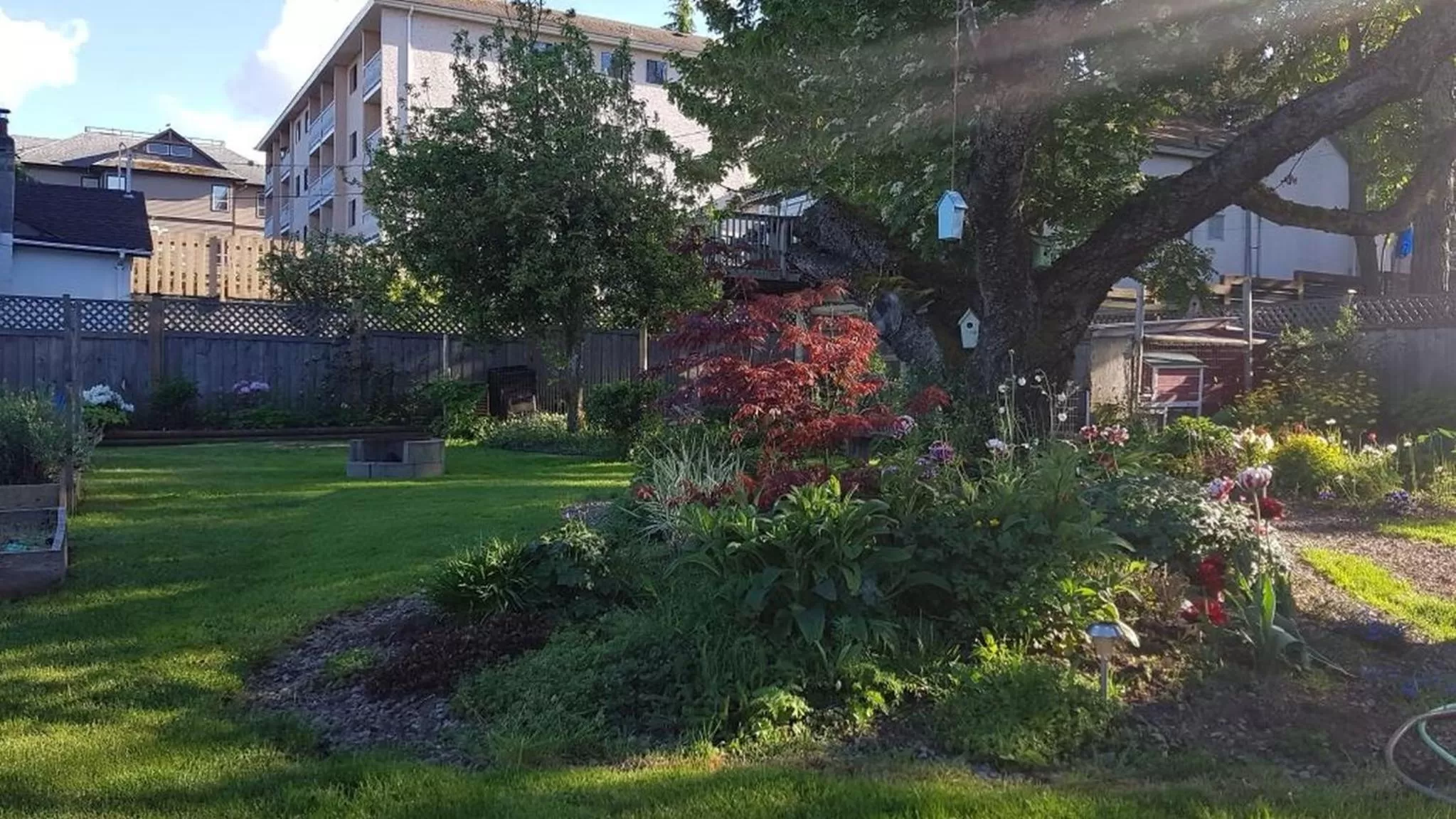 Campbell Cottage B&B