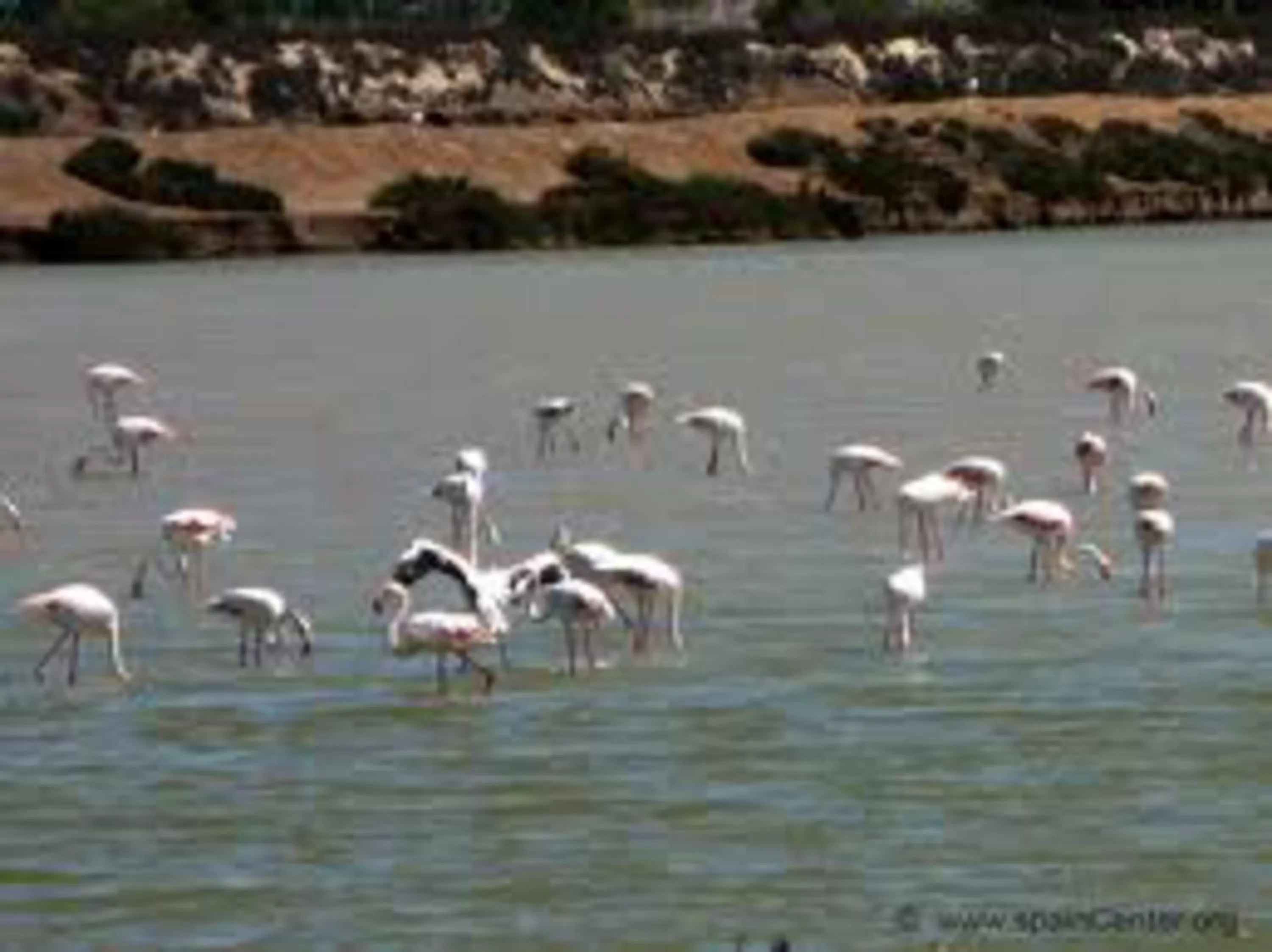 Area and facilities in Hotel Traíña