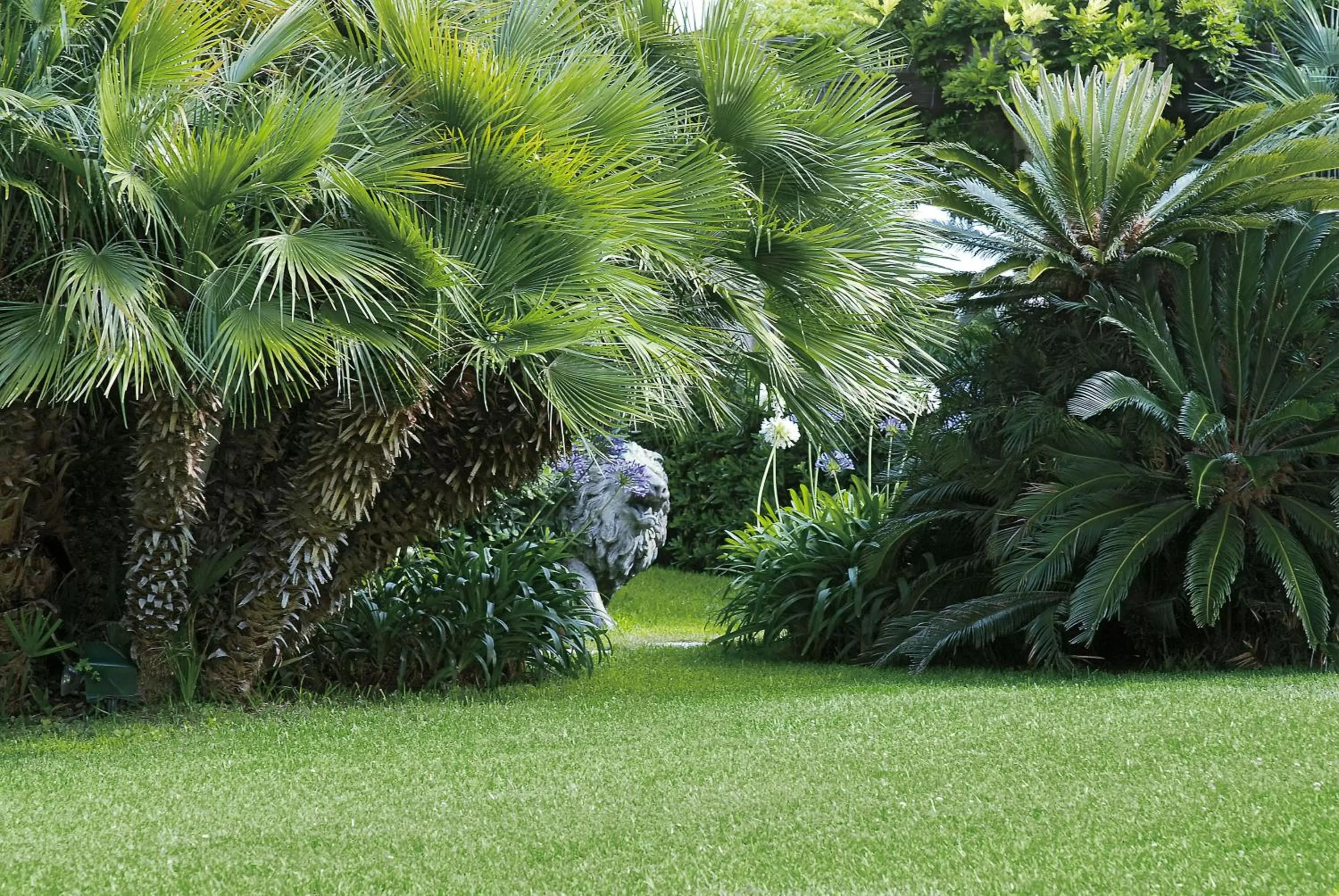 Garden in Grand Hotel Del Mare Resort & Spa