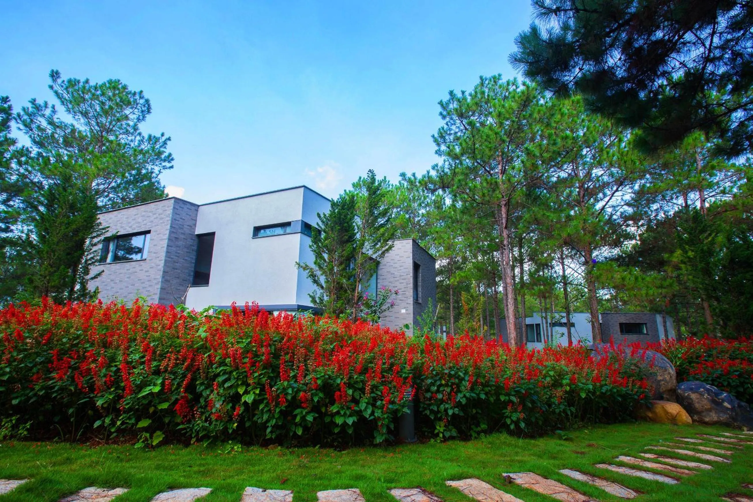 Natural landscape in Terracotta Hotel & Resort Dalat