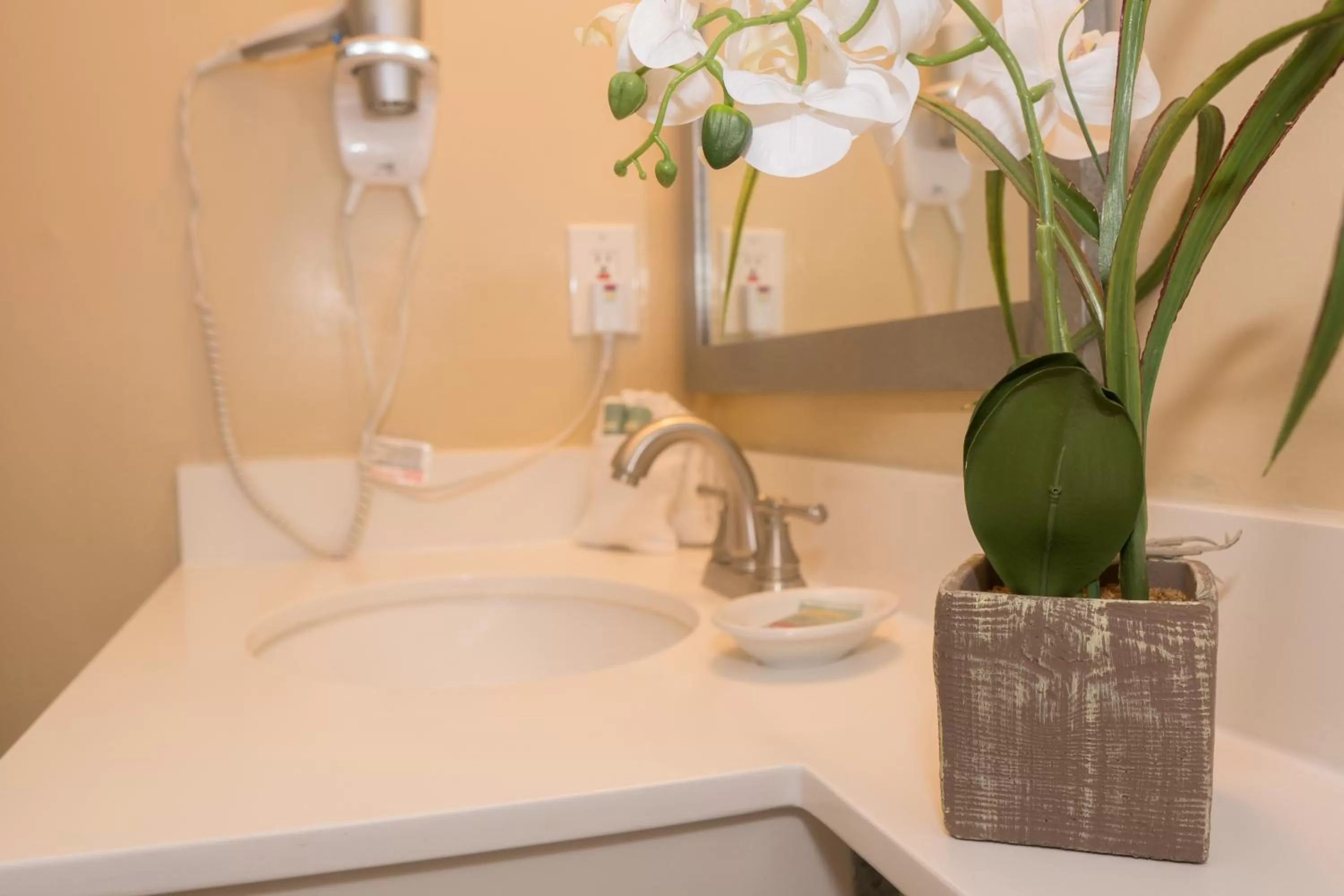 Bathroom in Best Western On The Bay Inn & Marina