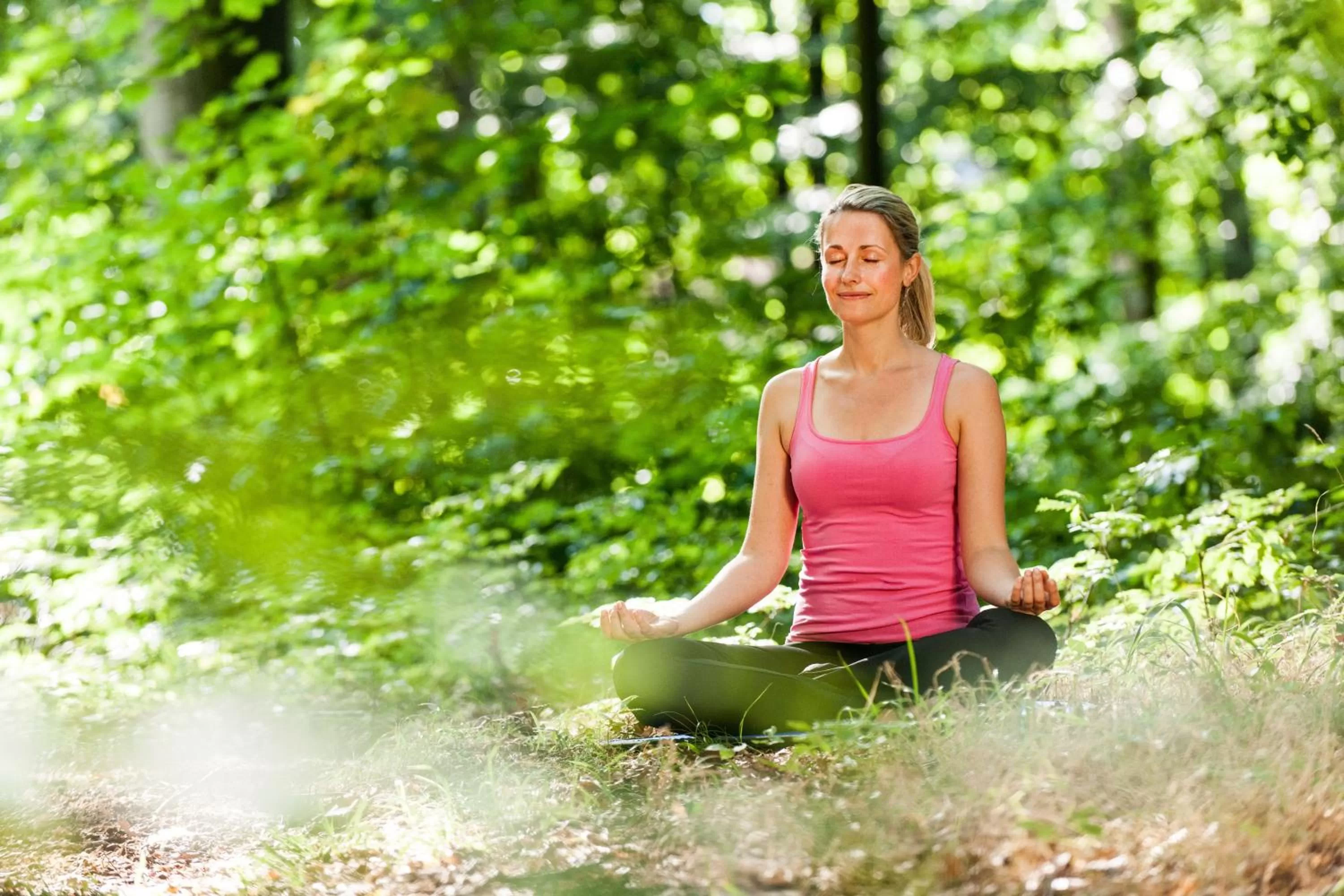 Natural landscape in Hotel Birke, Ringhotel Kiel