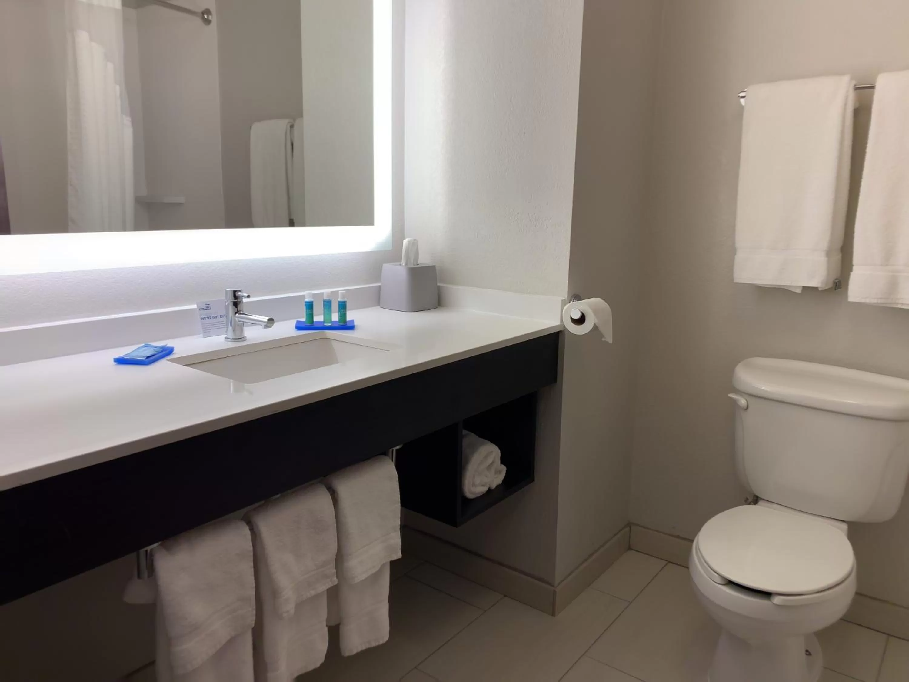 Bathroom in Holiday Inn Express & Suites Exmore - Eastern Shore by IHG