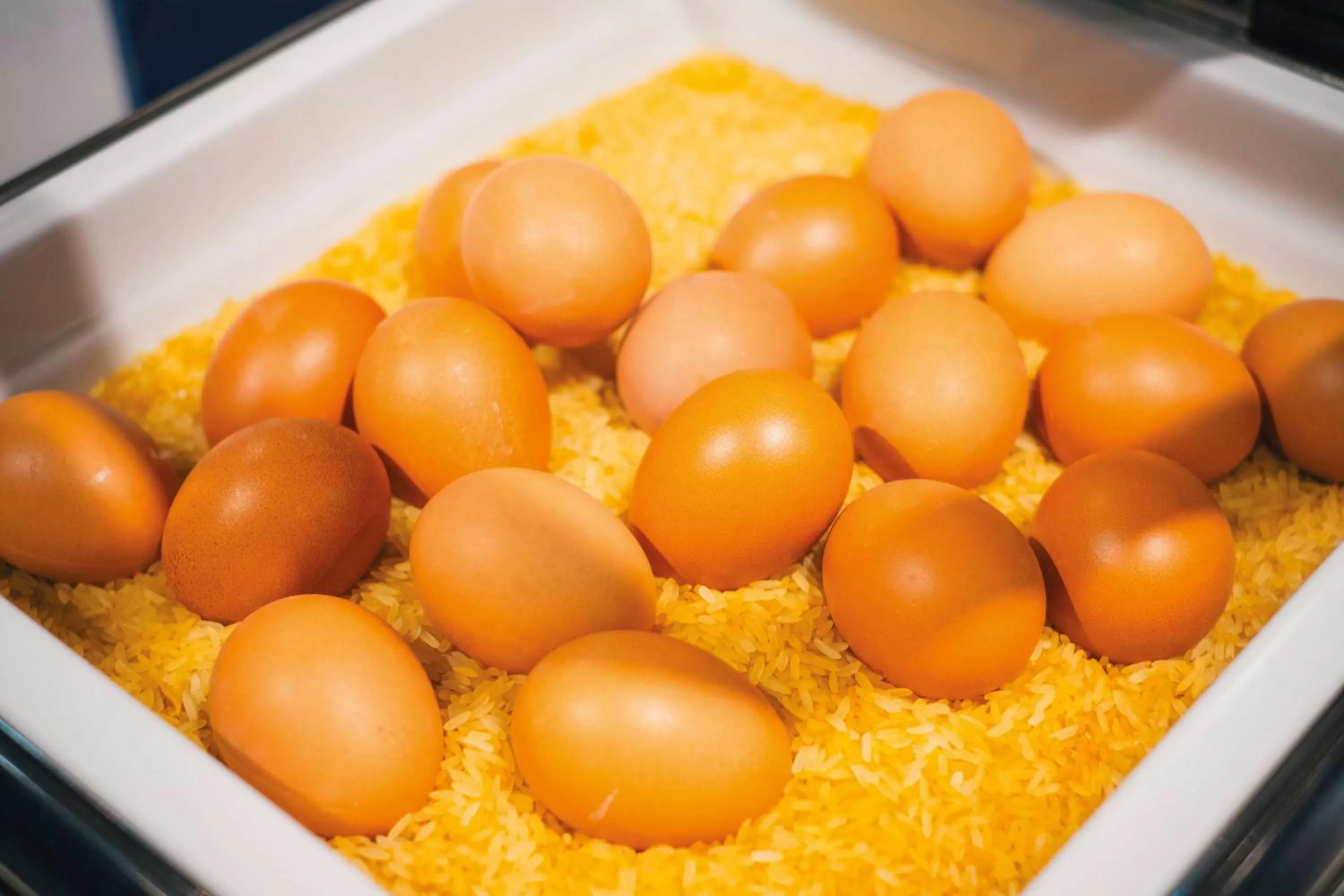 Restaurant/places to eat in Vienna House Easy by Wyndham Leipzig