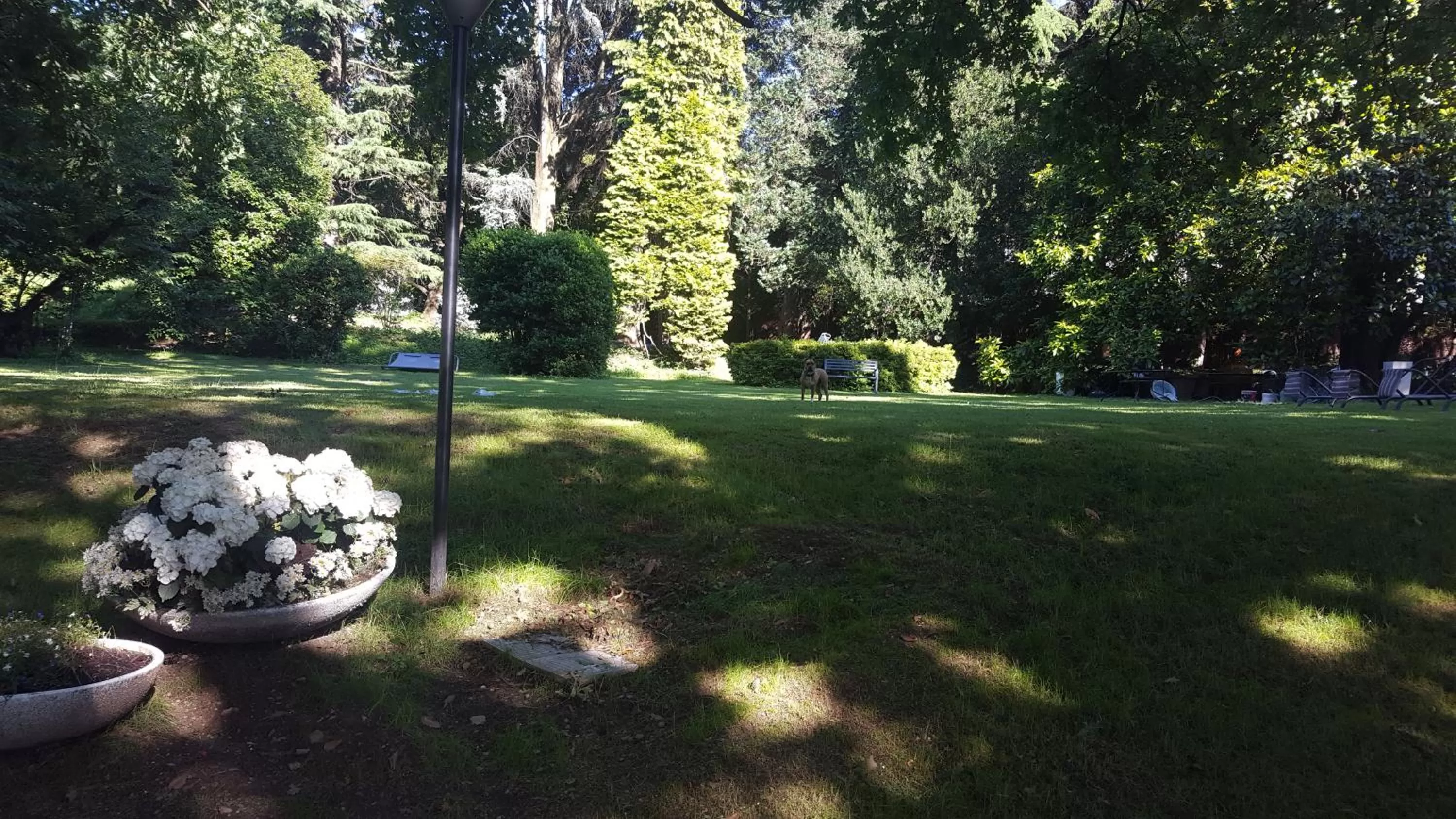 Garden view, Garden in "La Selvetta" bed and breakfast