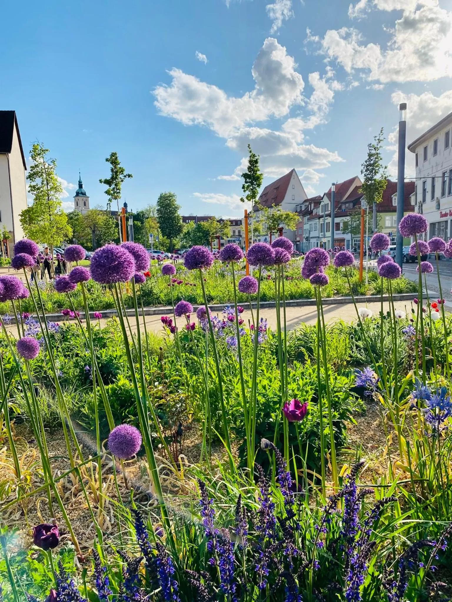 Neighbourhood in Bärliner Hotel