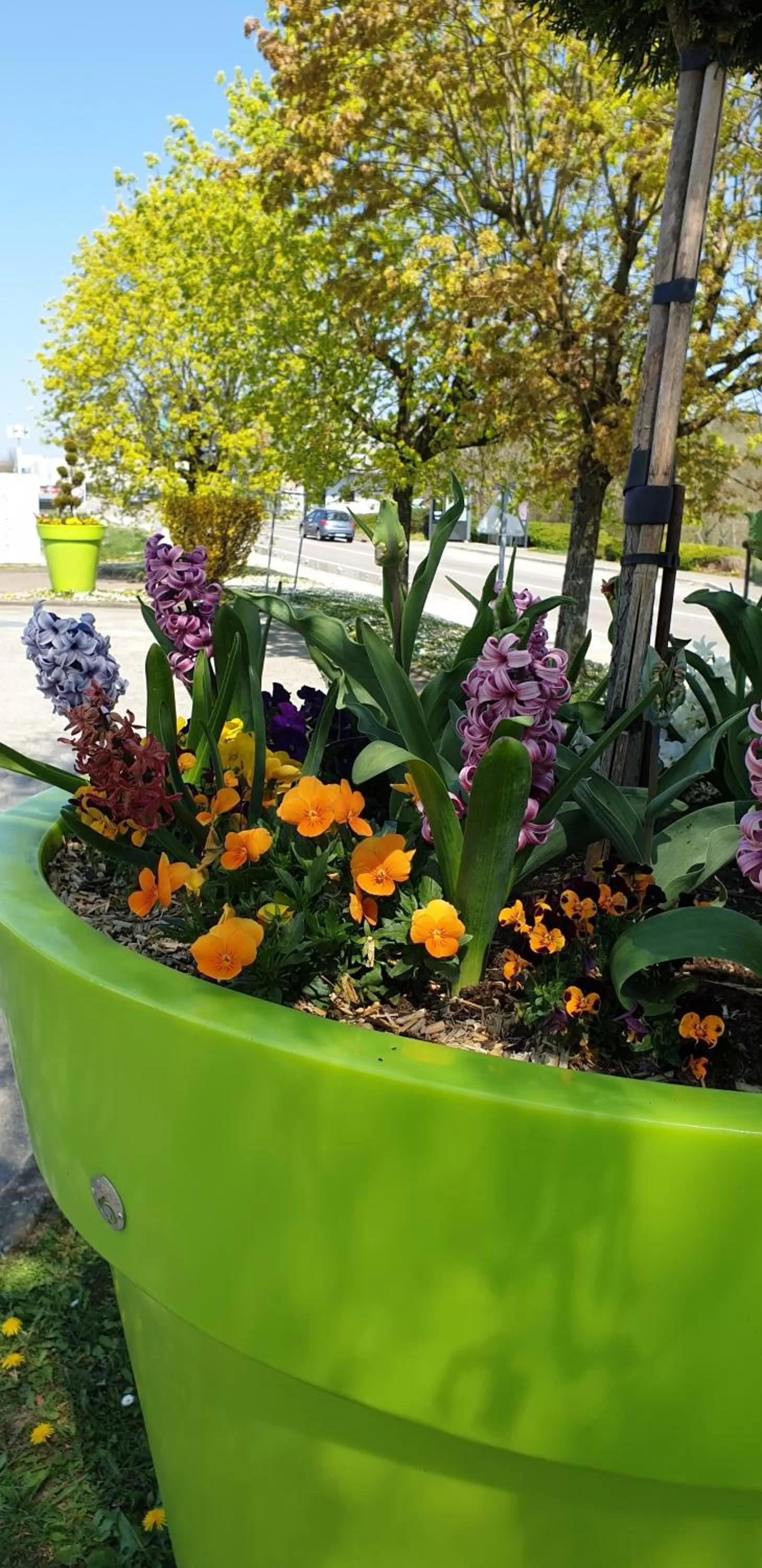 Spring in Hotel Campanile Besançon Nord Ecole Valentin