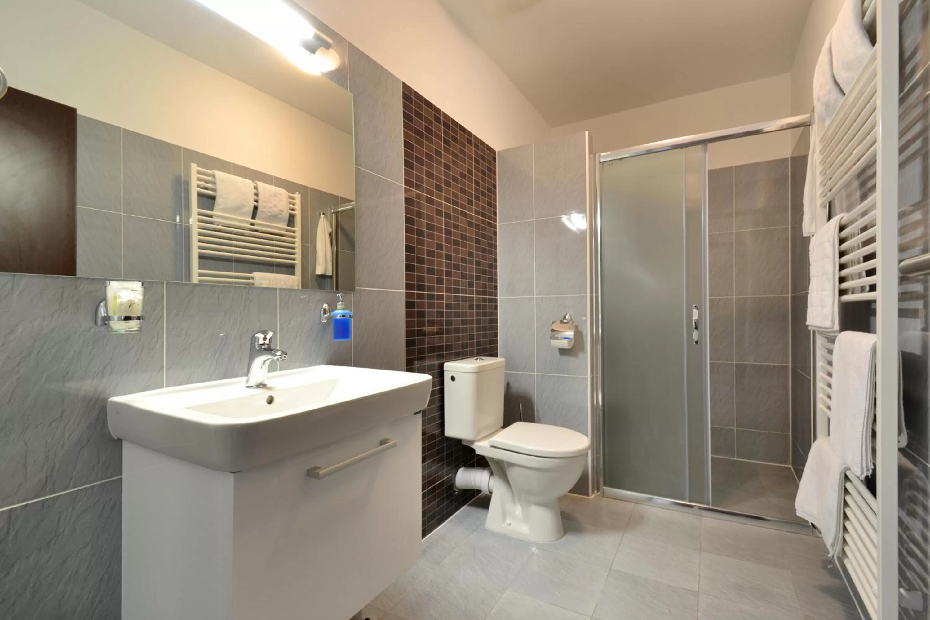 Shower in Hotel Palác