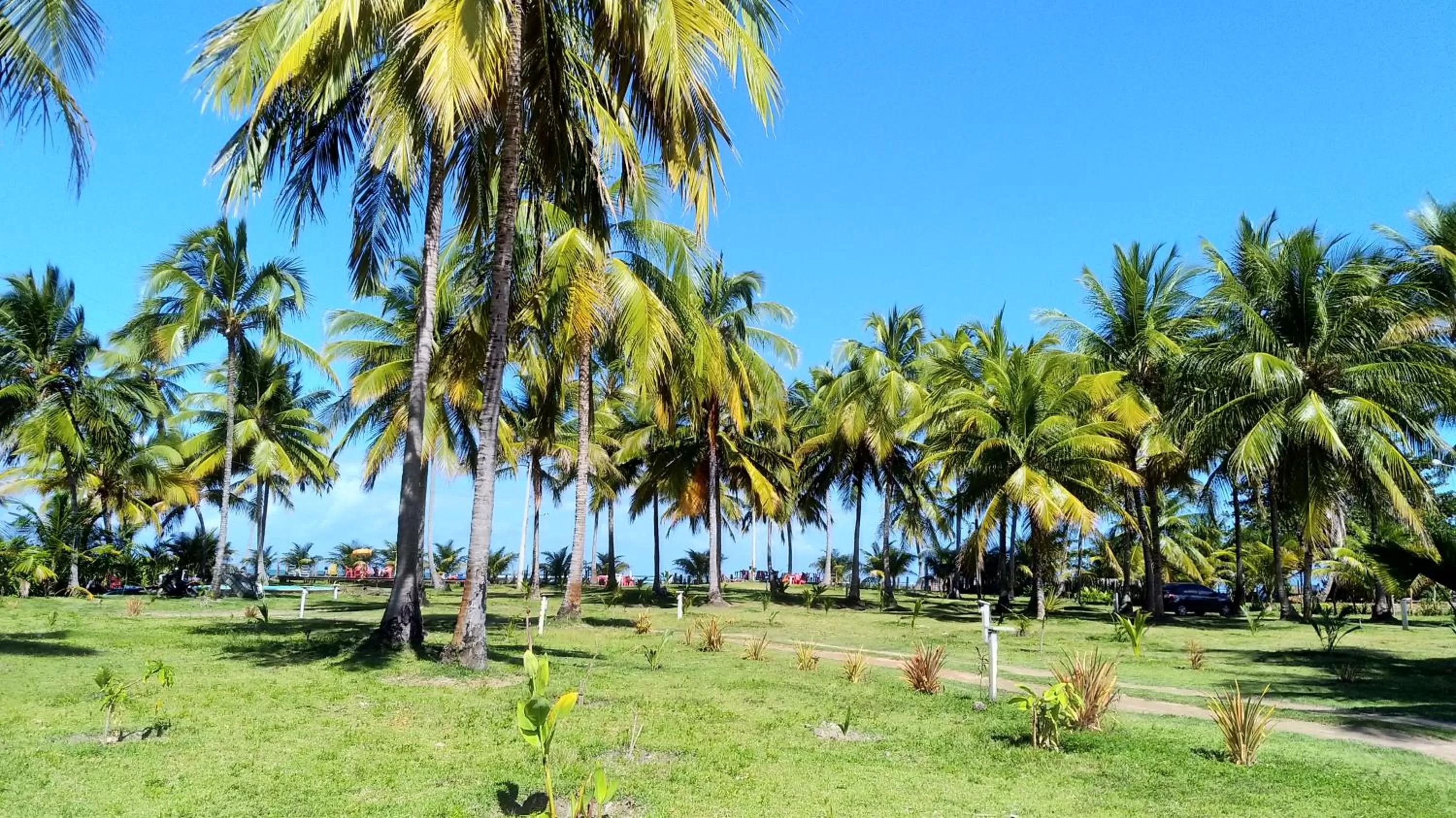 Garden view, Garden in Pousada e Restaurante Encanto das Águas