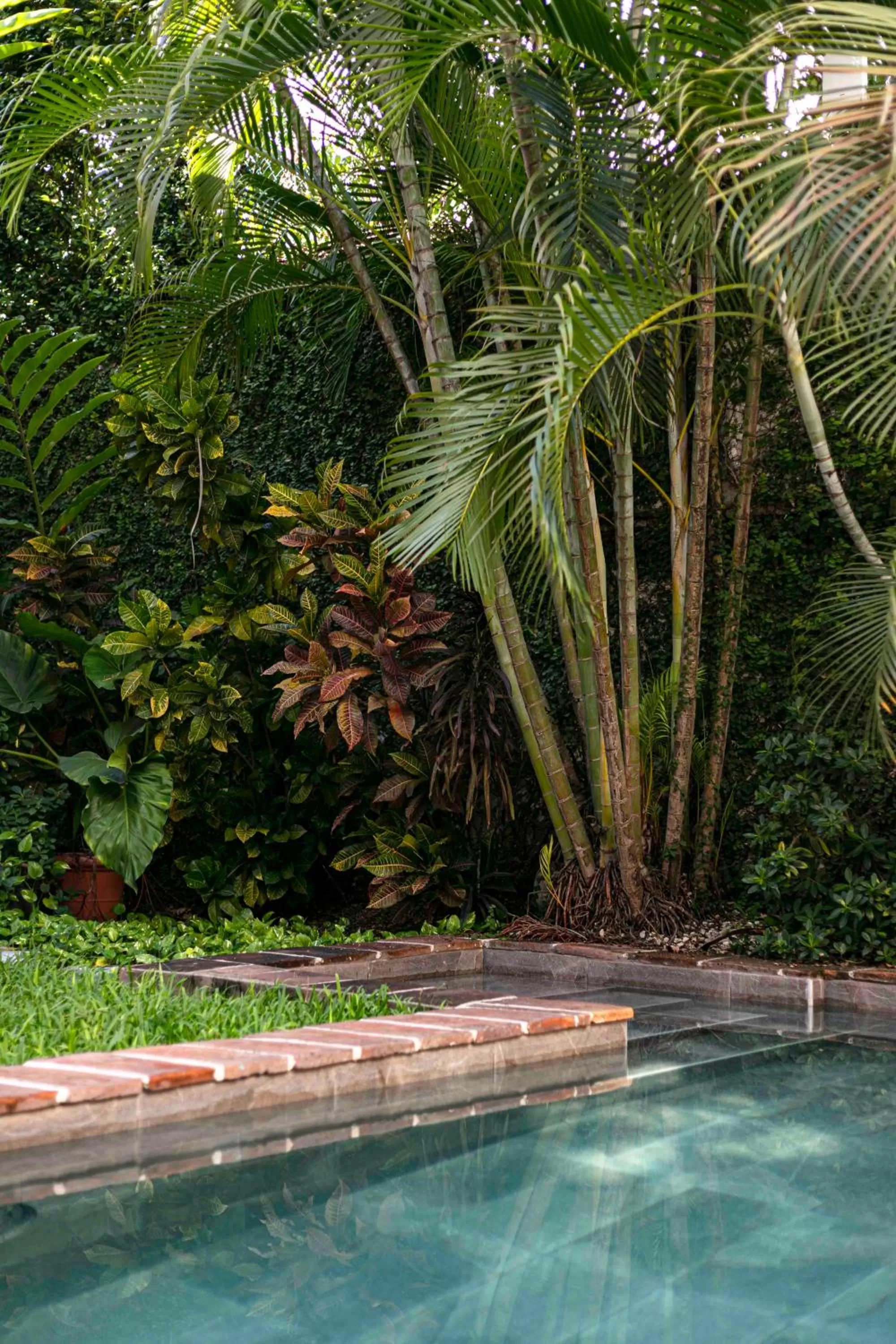 Swimming Pool in Hotel Villa Colonial