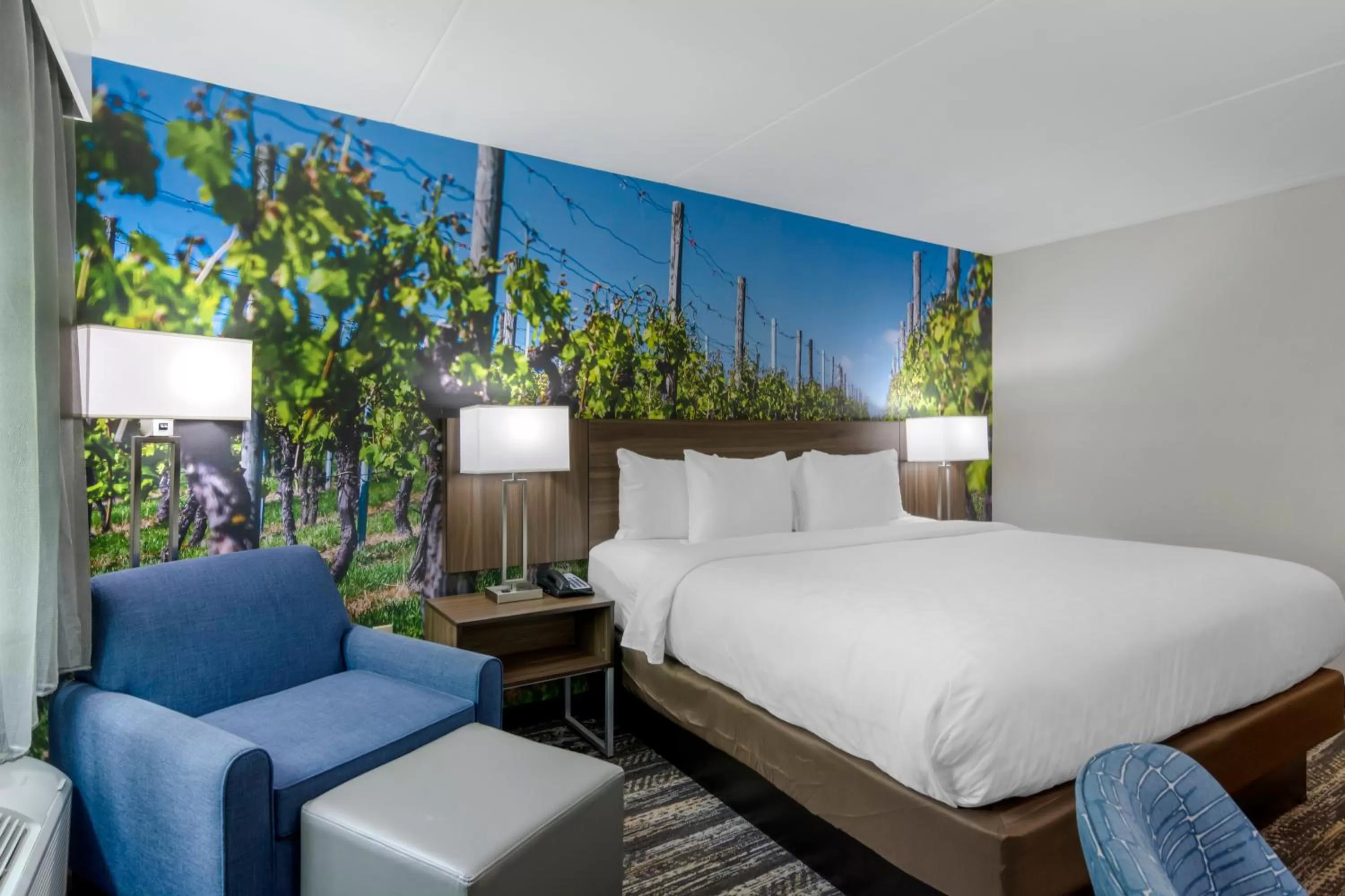 Photo of the whole room, Bed in Clarion Pointe Charlottesville