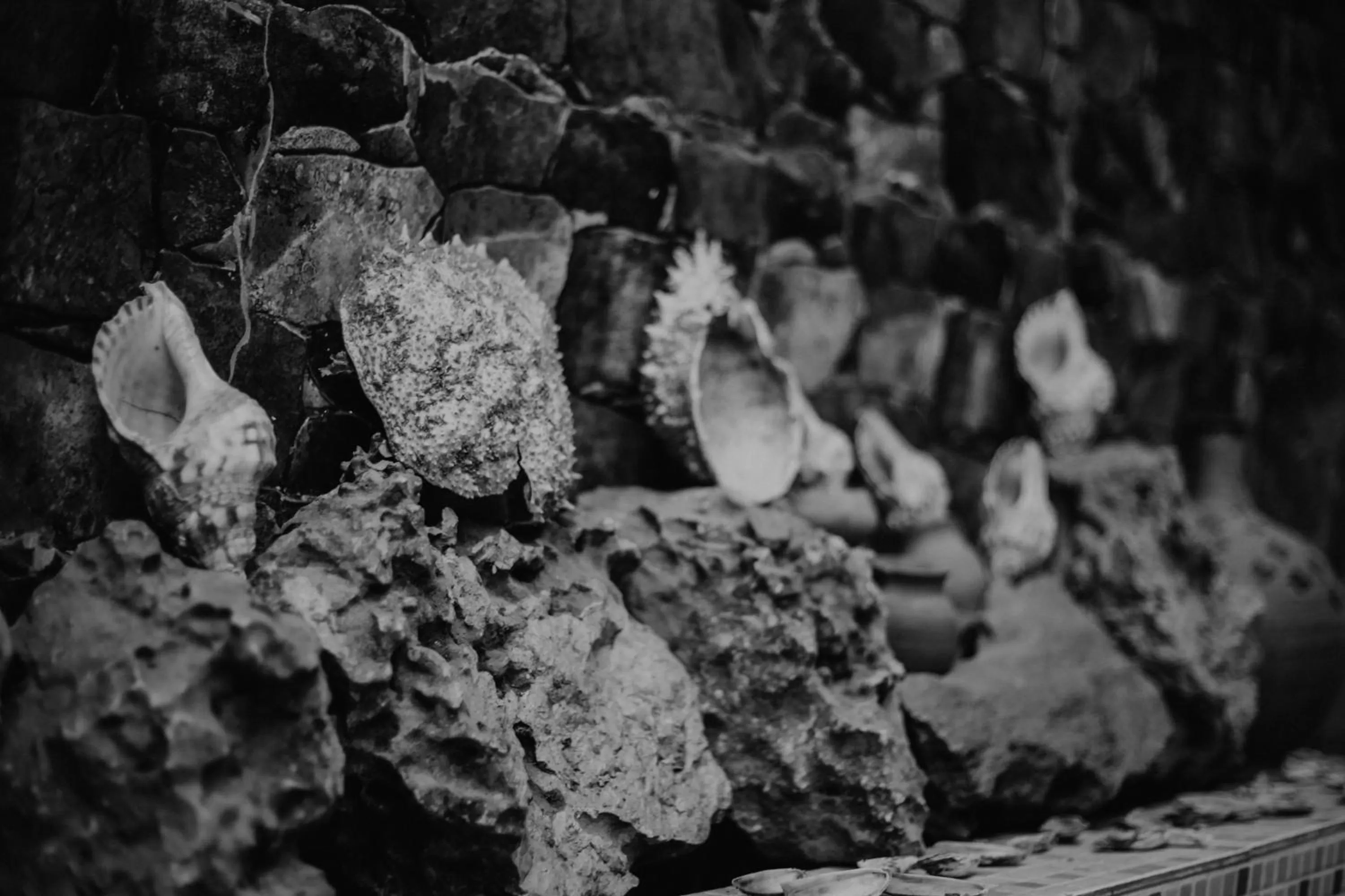 Swimming pool in Riad Salma de Groot