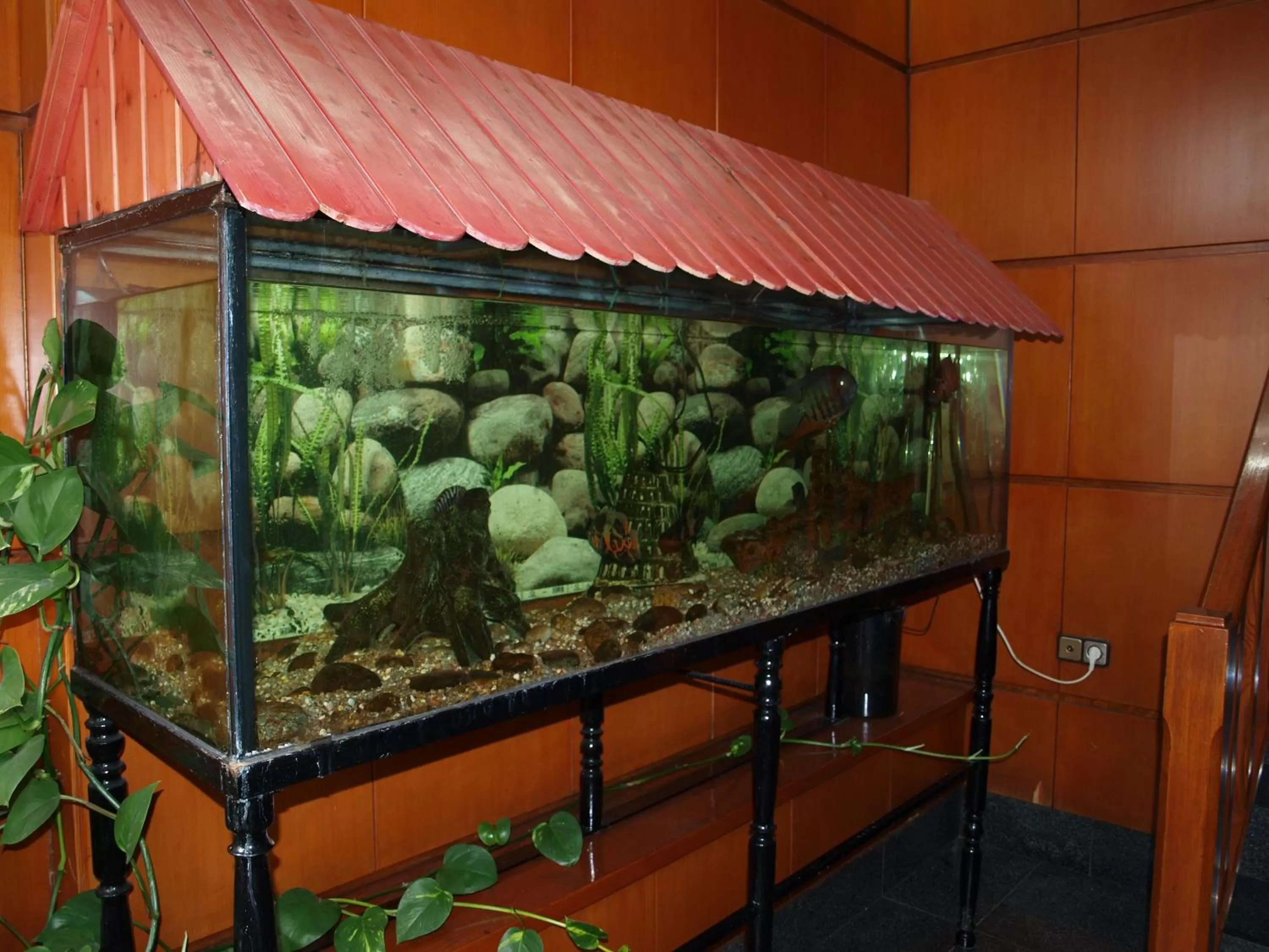 Decorative detail, BBQ Facilities in Hotel Francisco Javier