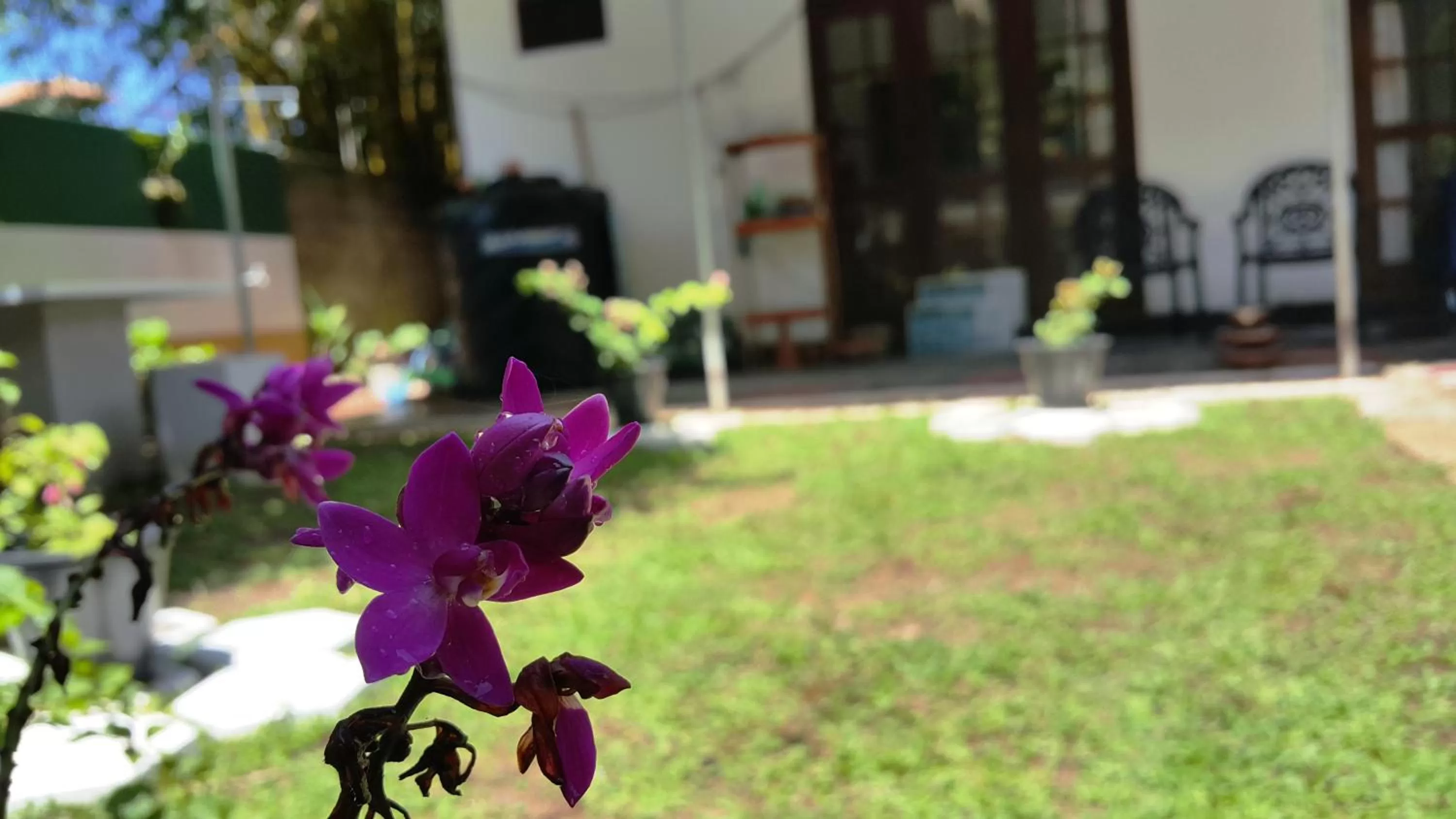 Garden view, Garden in Era Holiday House