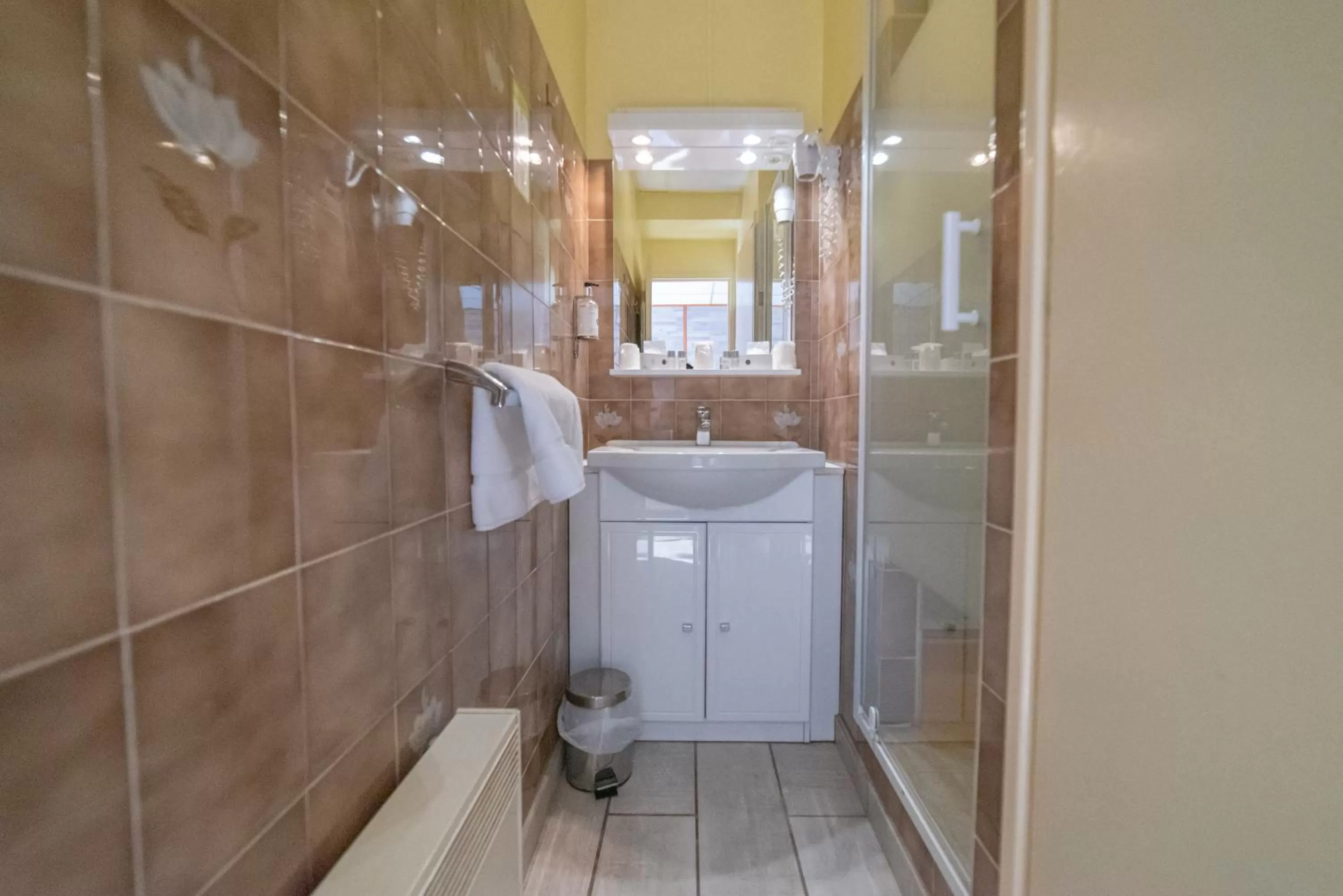 Bathroom in Hotel des Pyrénées