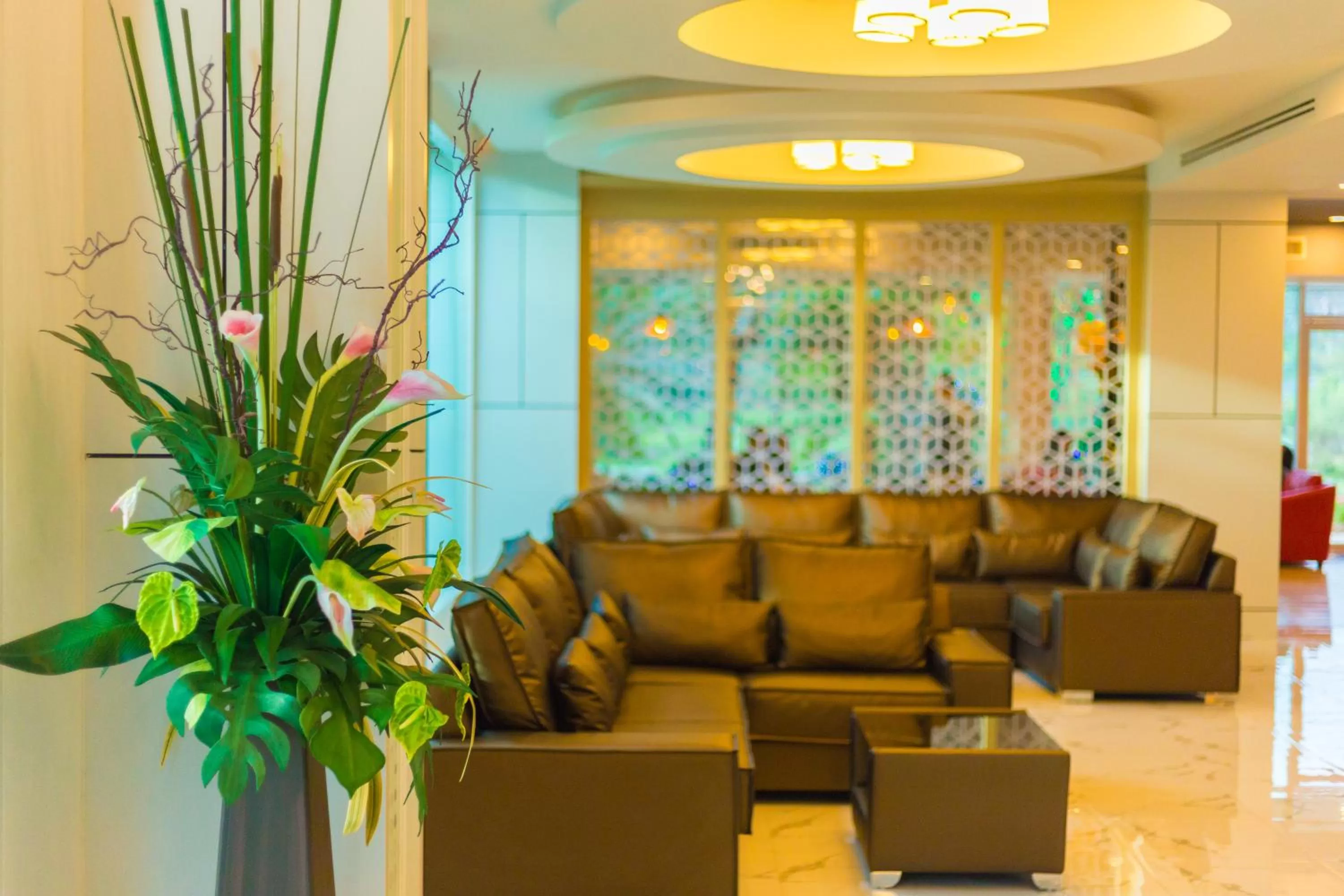 Communal lounge/ TV room in Avada Hotel