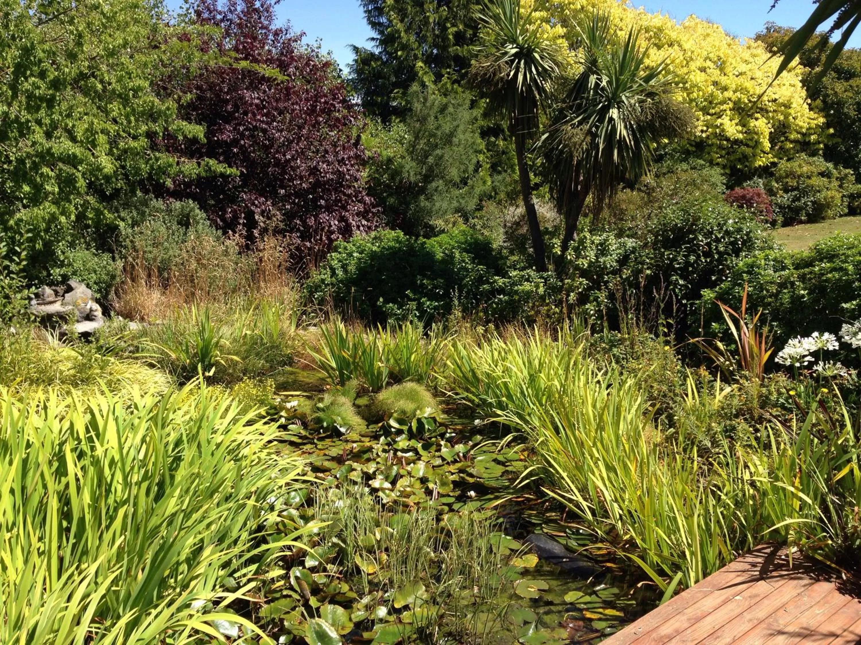 Day in Newlands Bed and Breakfast