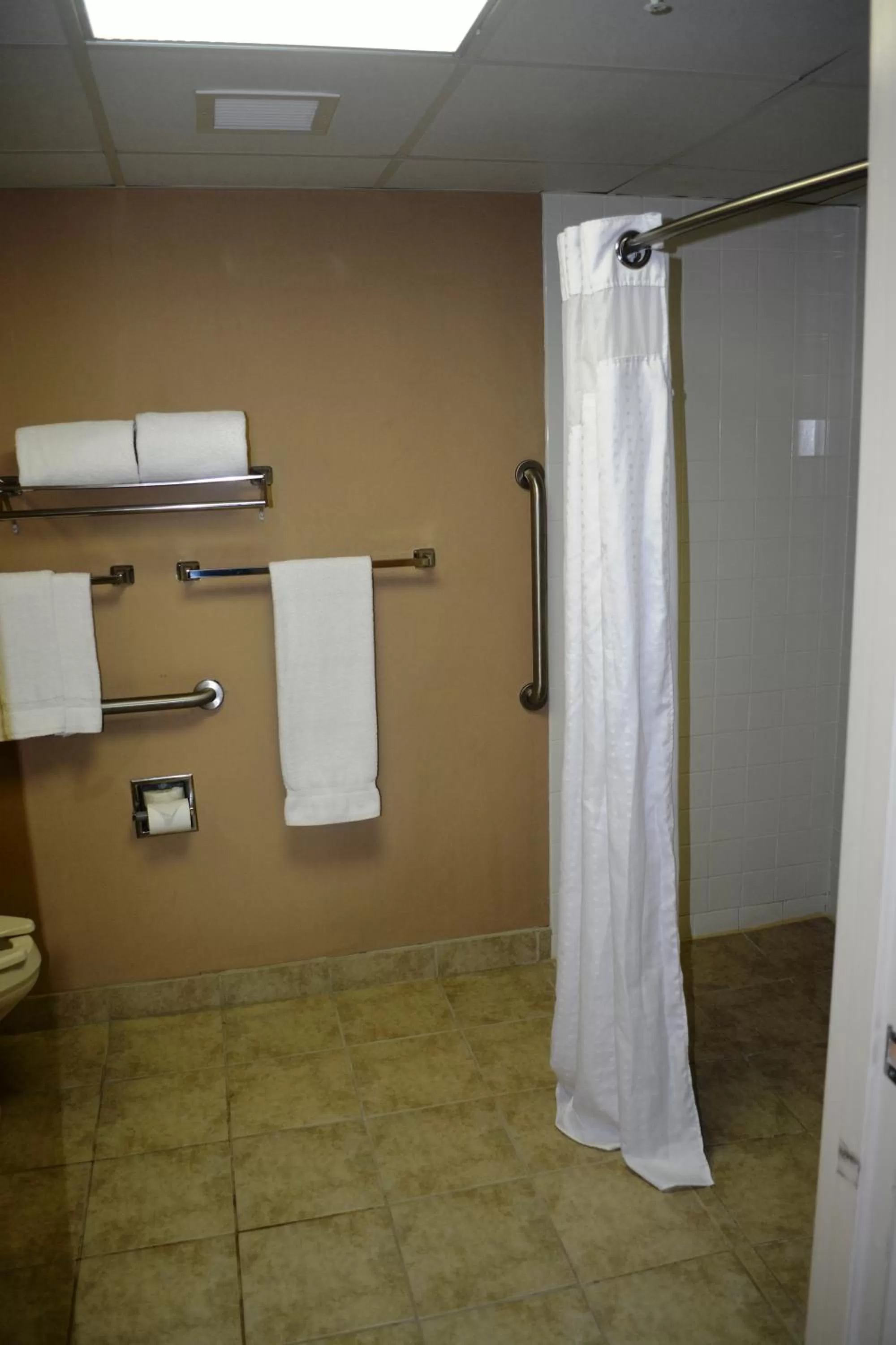 Shower in SureStay Plus Hotel by Best Western Roanoke Rapids I-95