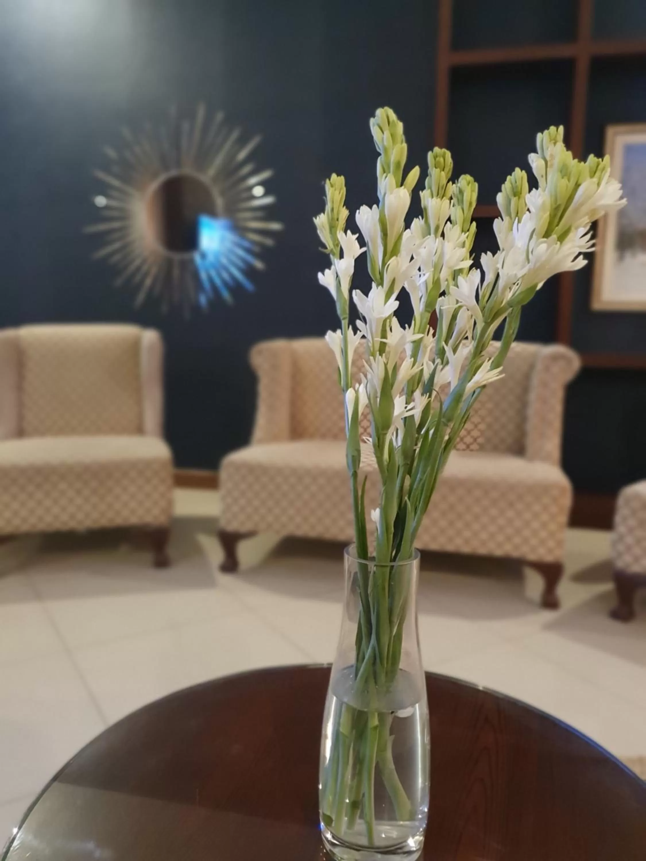 Lobby or reception in S Chalet Multan