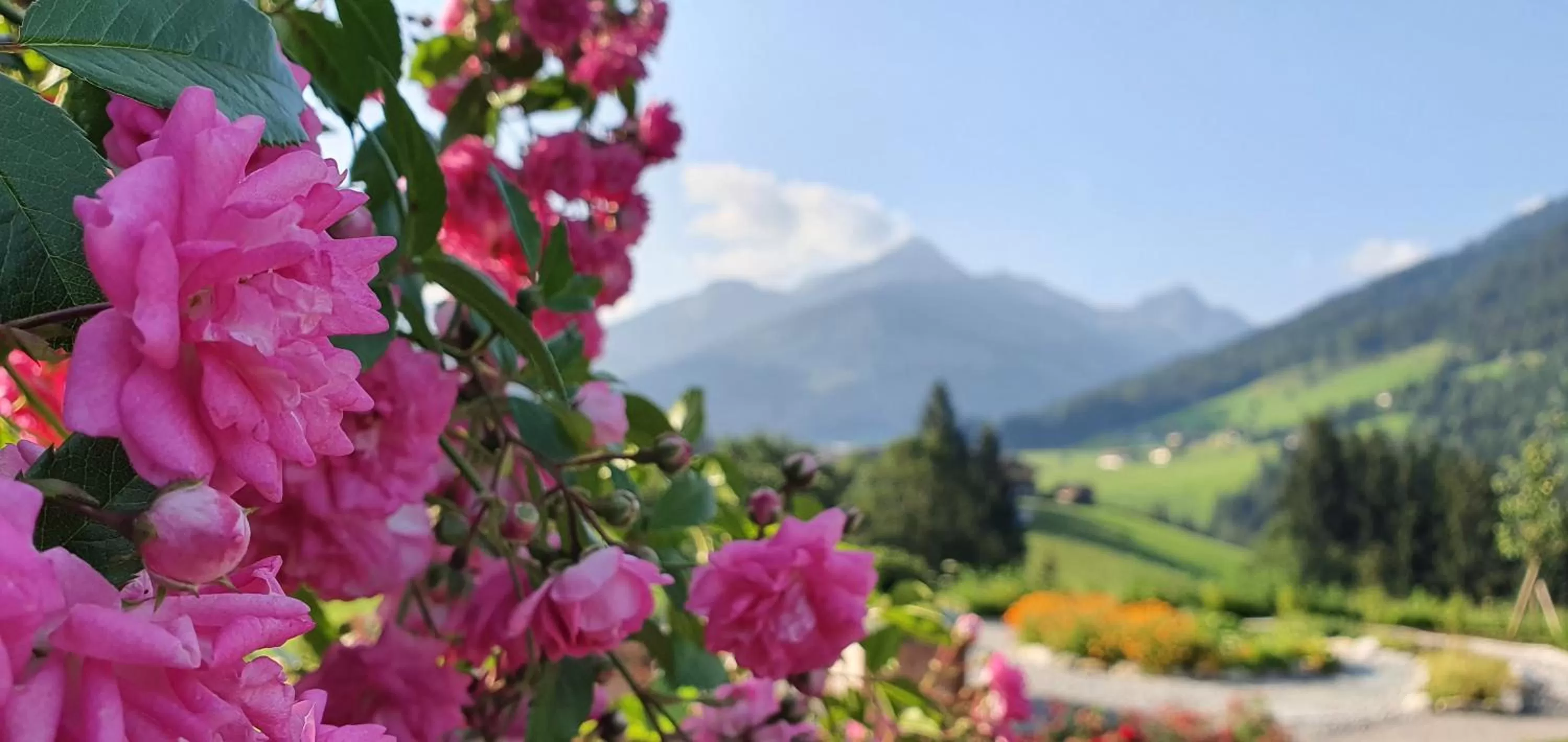 Garden in Natur & Spa Resort "Der Alpbacherhof" Superior