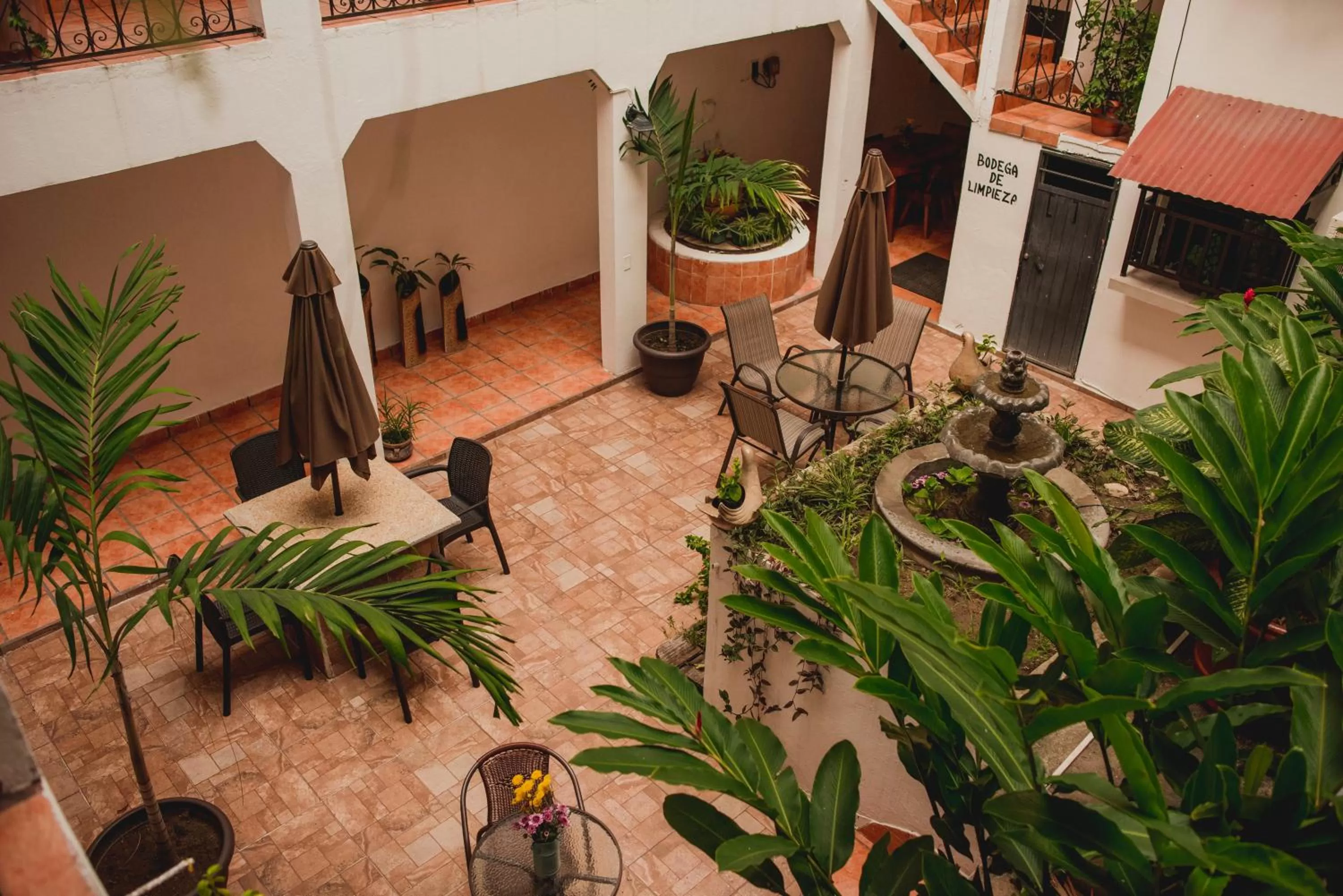 Garden in Posada Kin