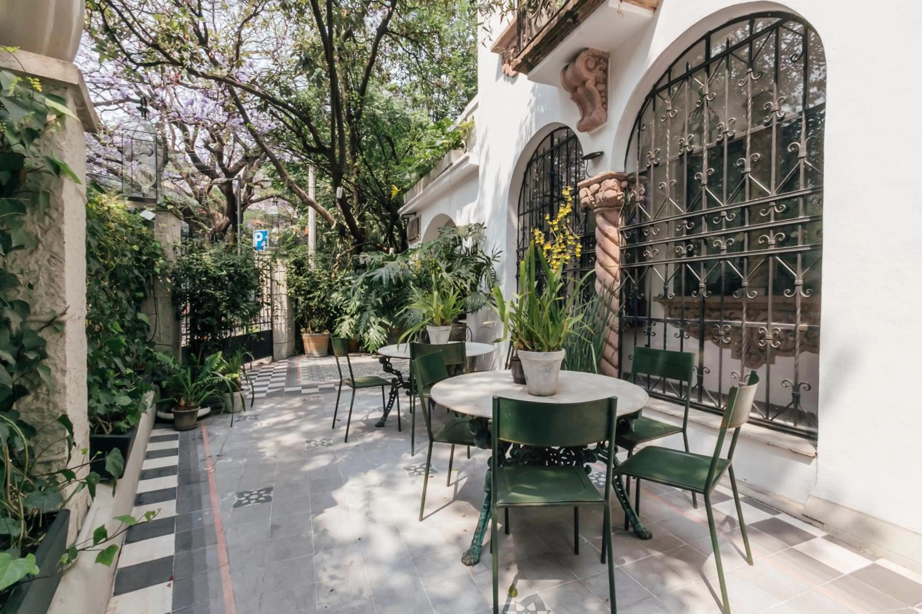 Property building in Orchid House Mexico City