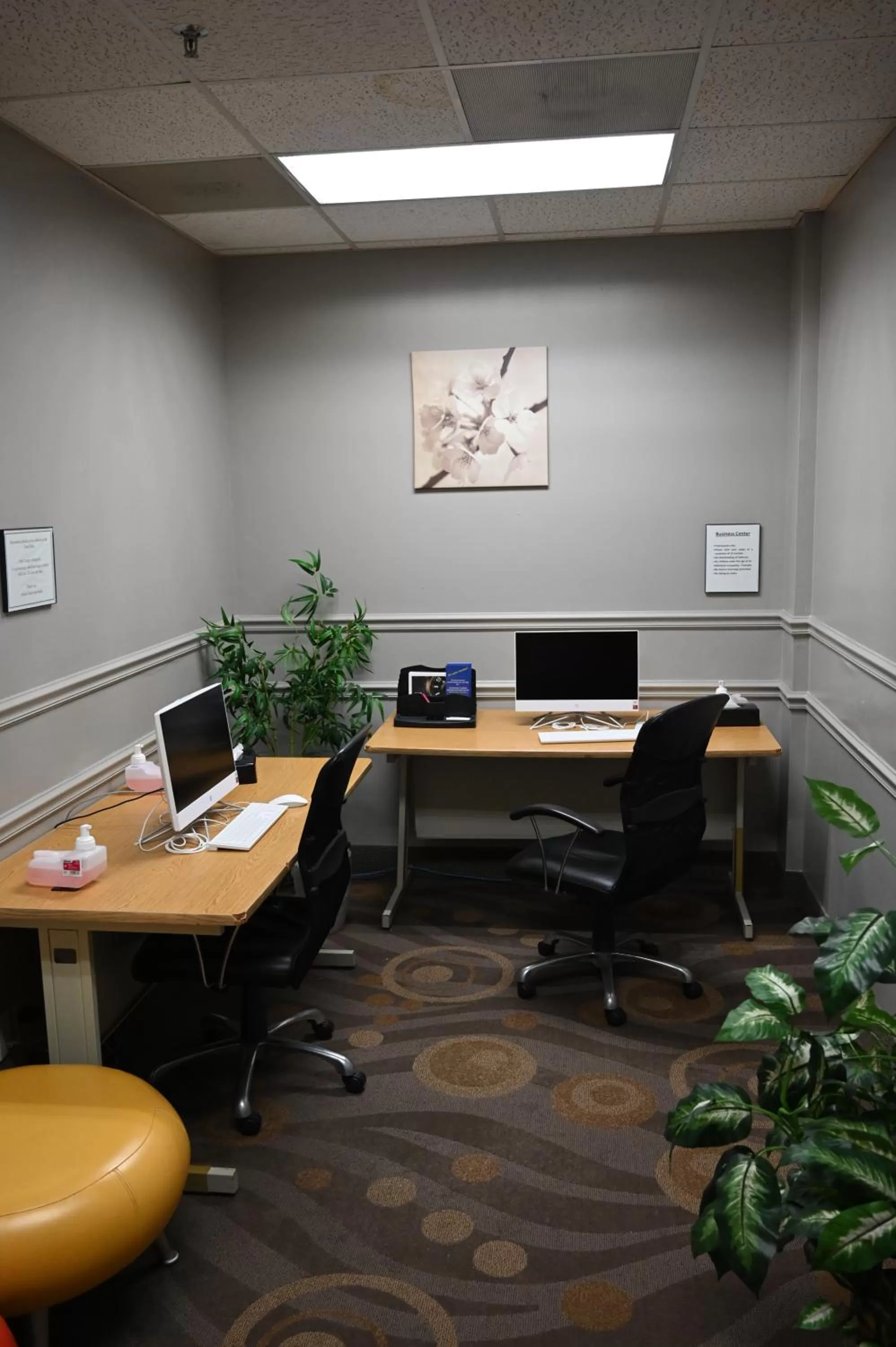 Business facilities in Atrium Hotel and Suites DFW Airport