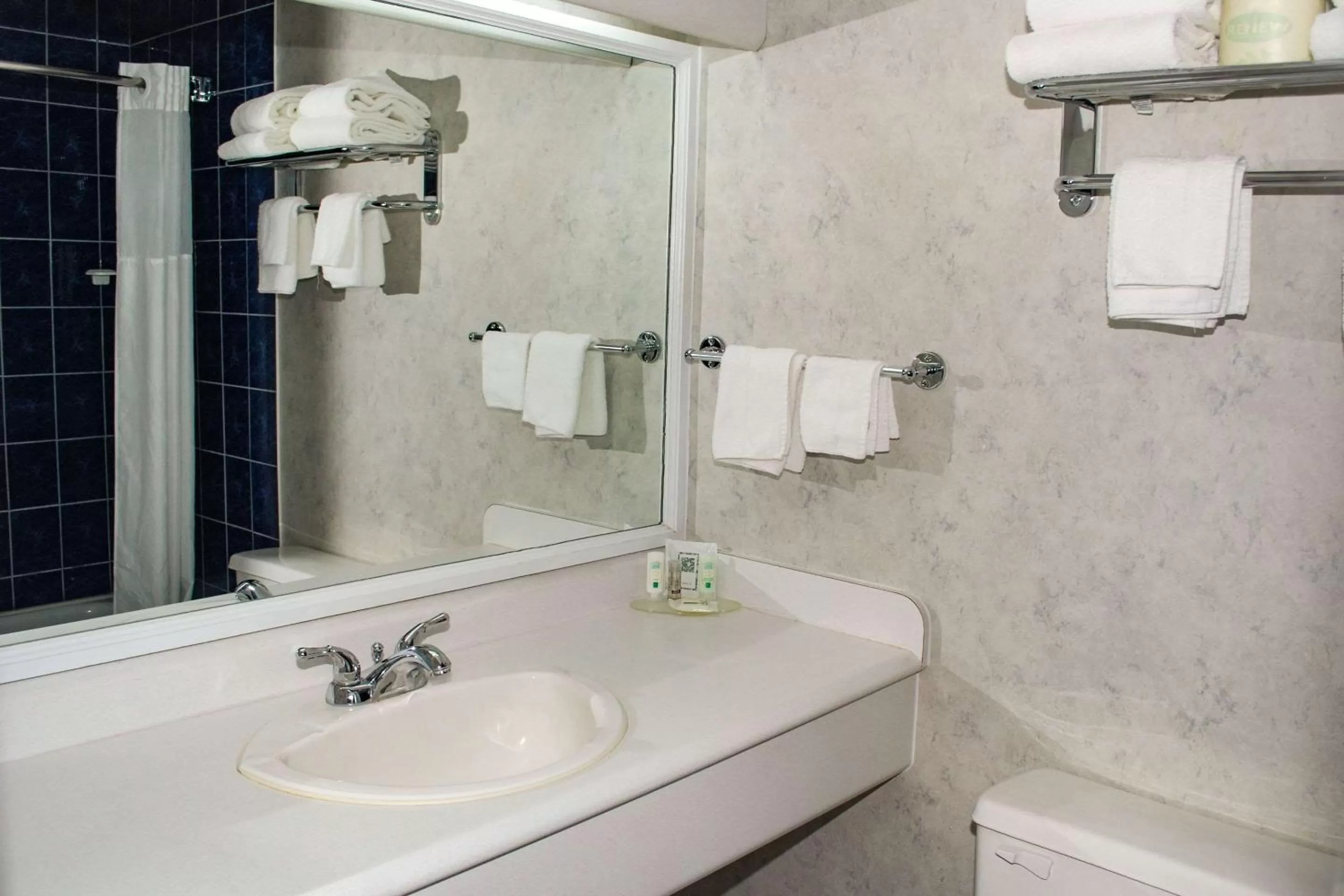 Bathroom in Rodeway Inn