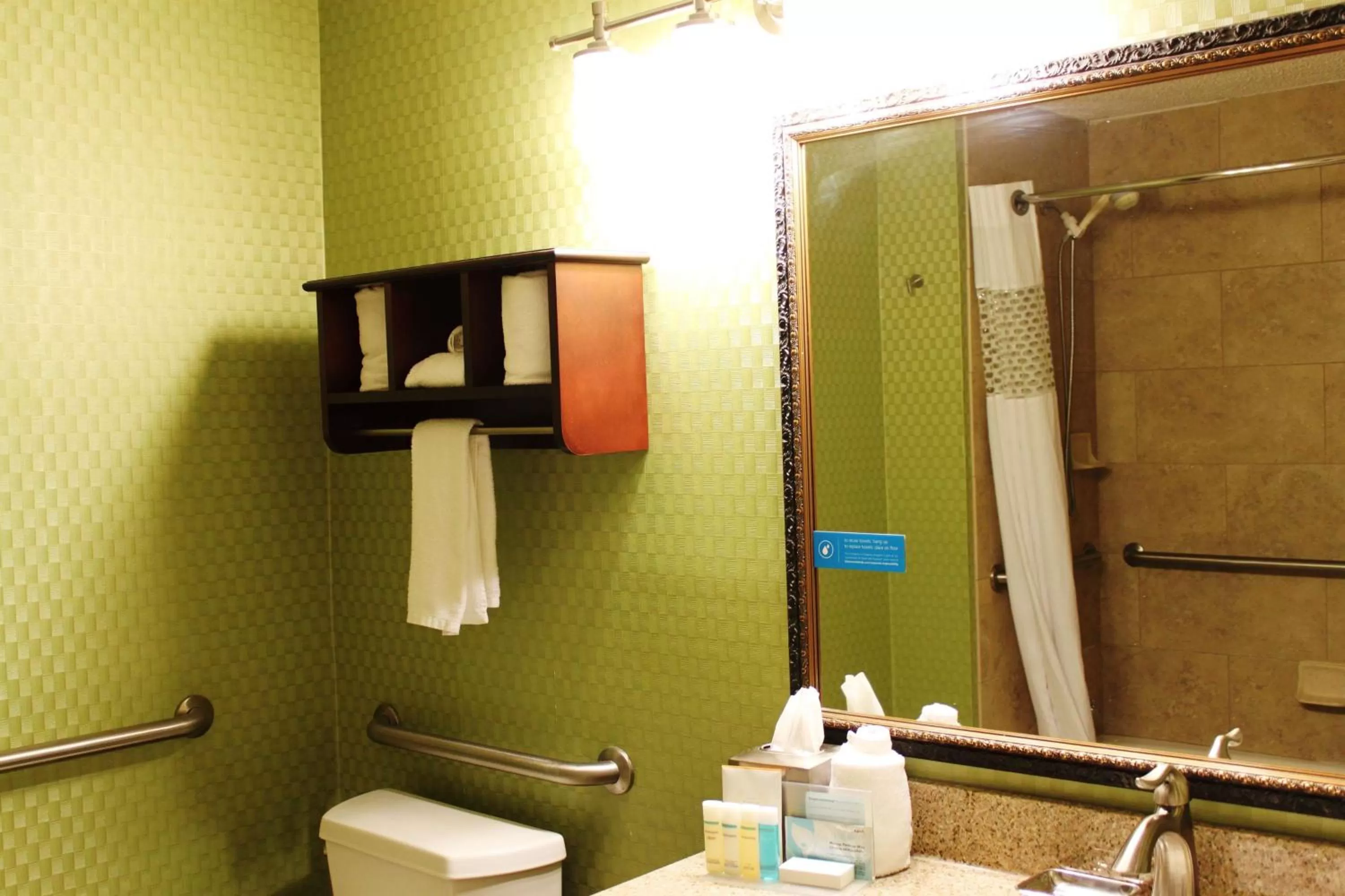 Bathroom in Hampton Inn Perry