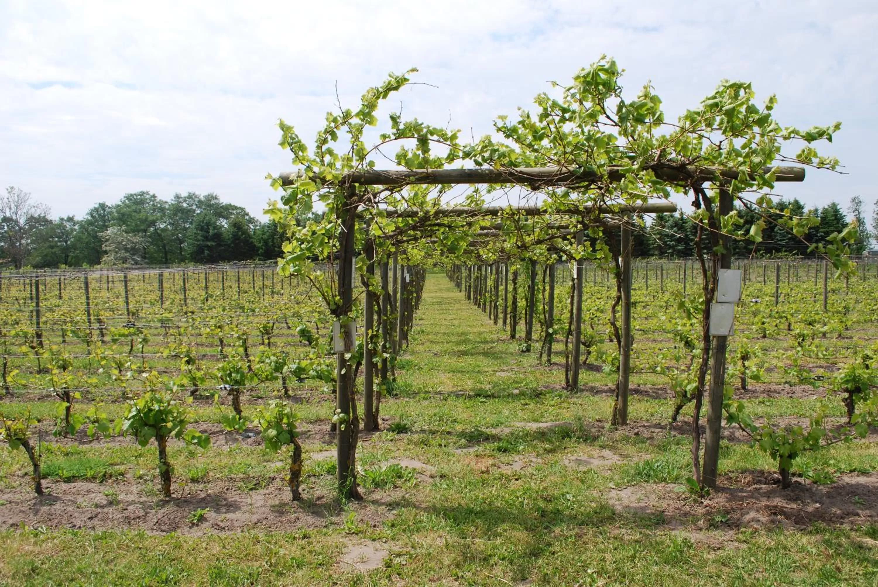 Nearby landmark in Åhus B&B och Vandrarhem