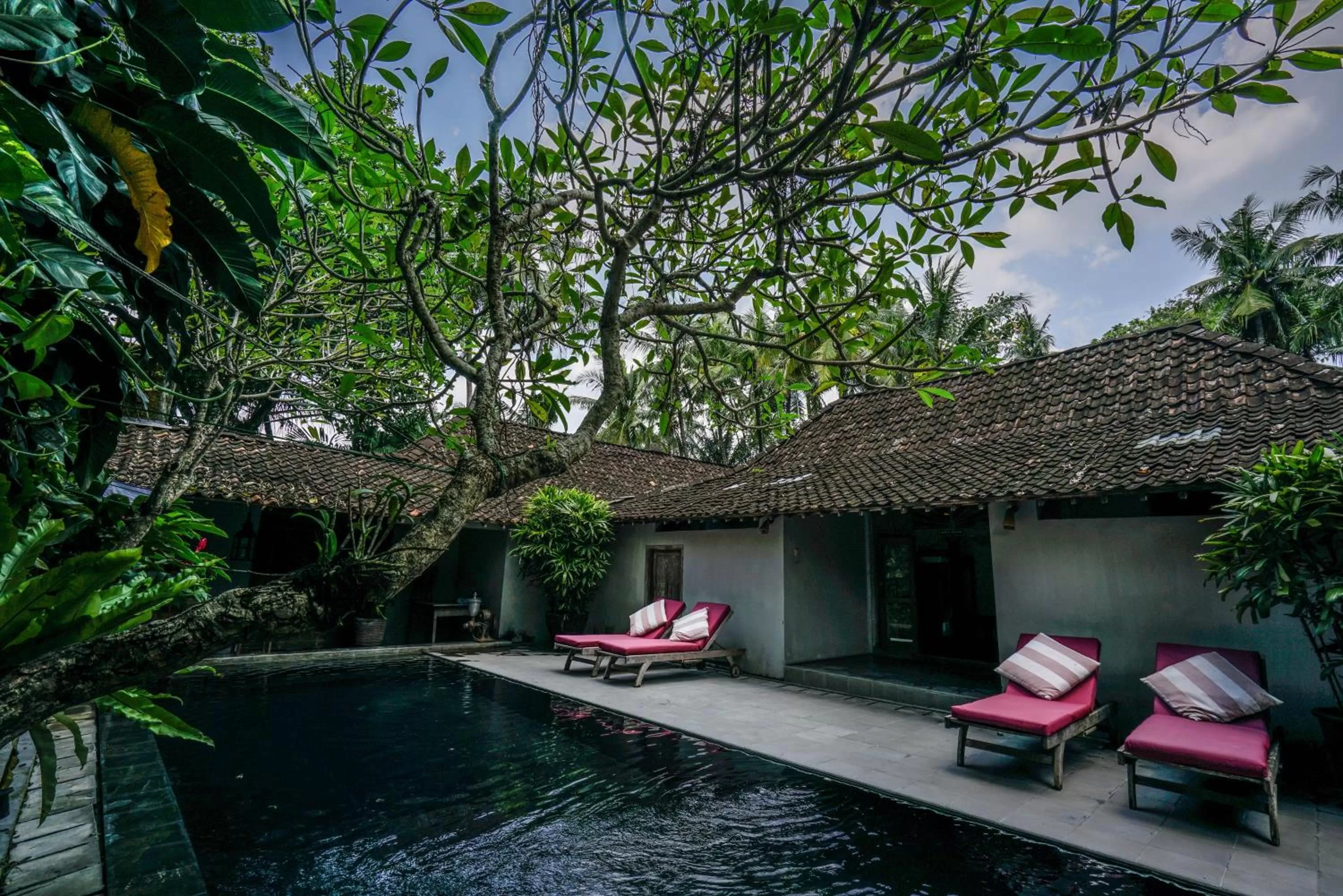 Swimming pool in D'omah Yogya Hotel