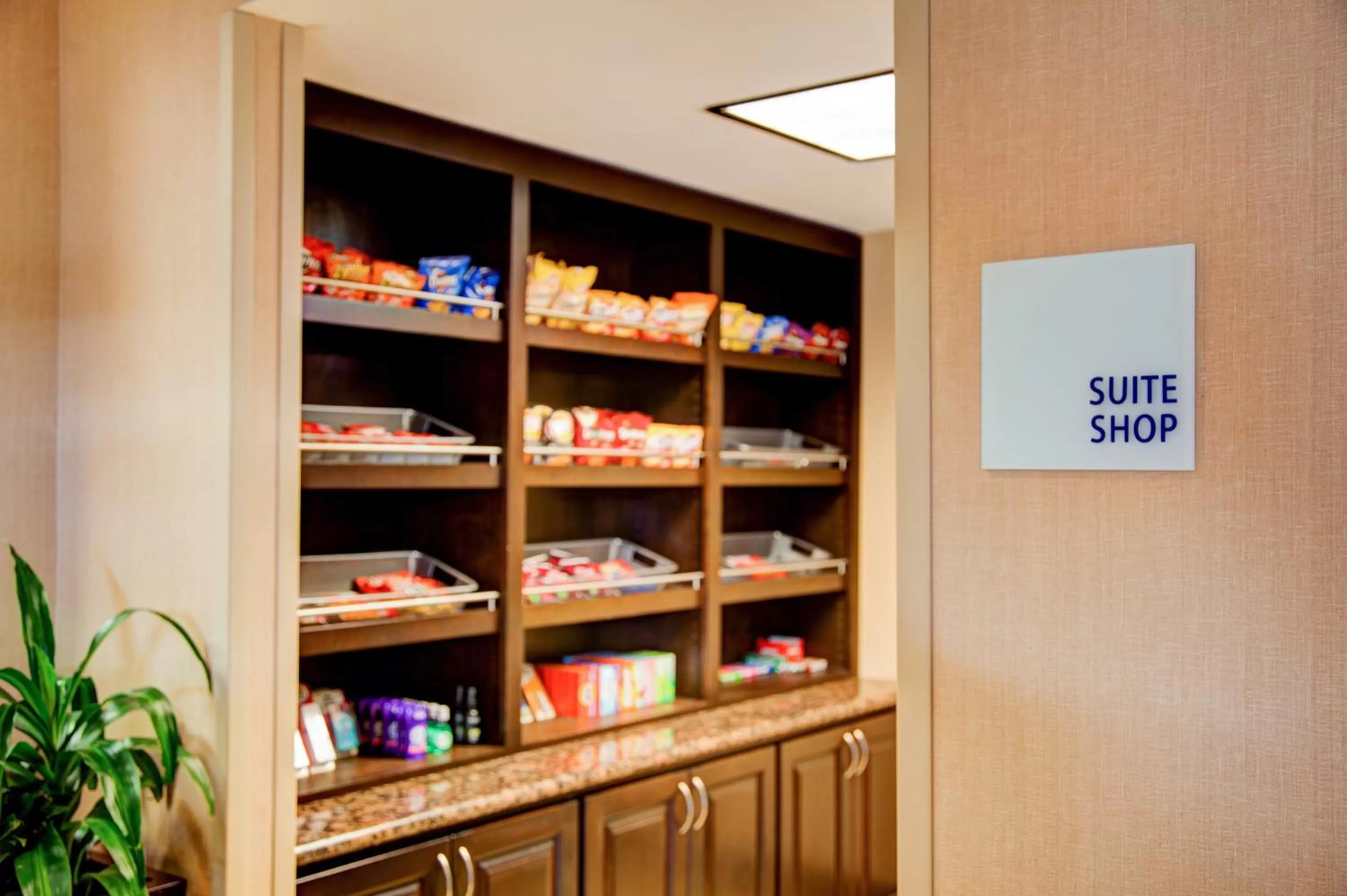 Other in Holiday Inn Express Tyler South by IHG