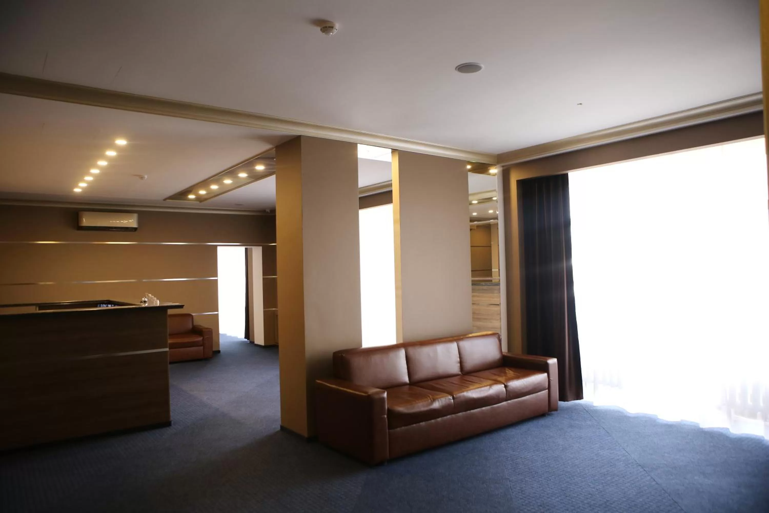 Lounge or bar, Seating Area in Hotel Aner