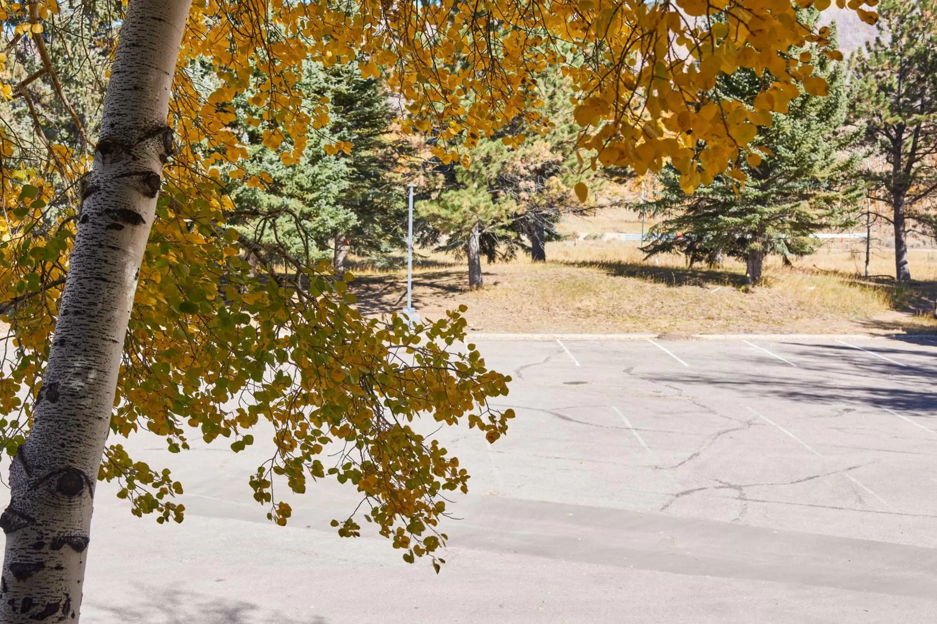 Deluxe Queen Room in The Inn at Aspen