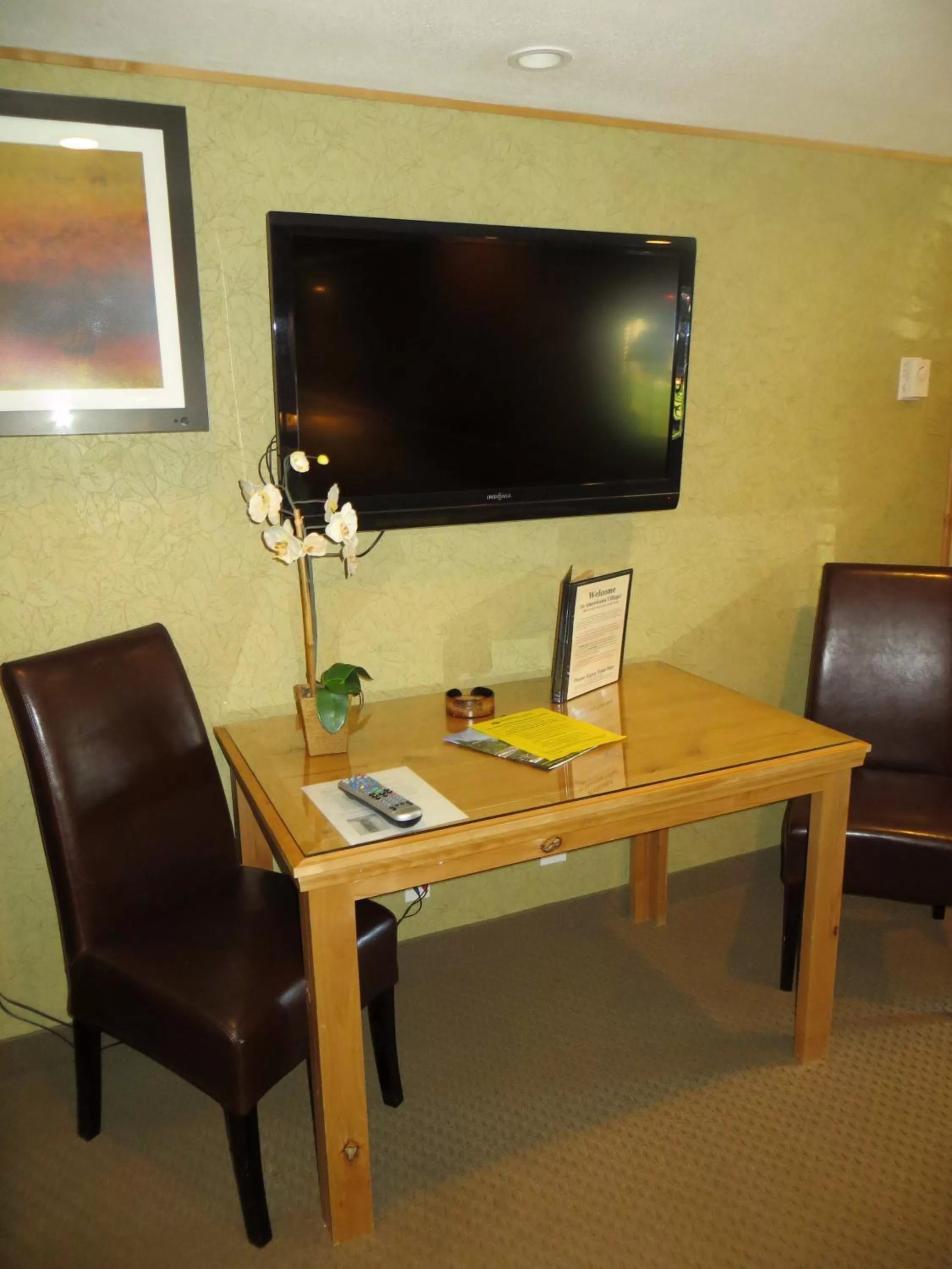 TV and multimedia in Americana Village