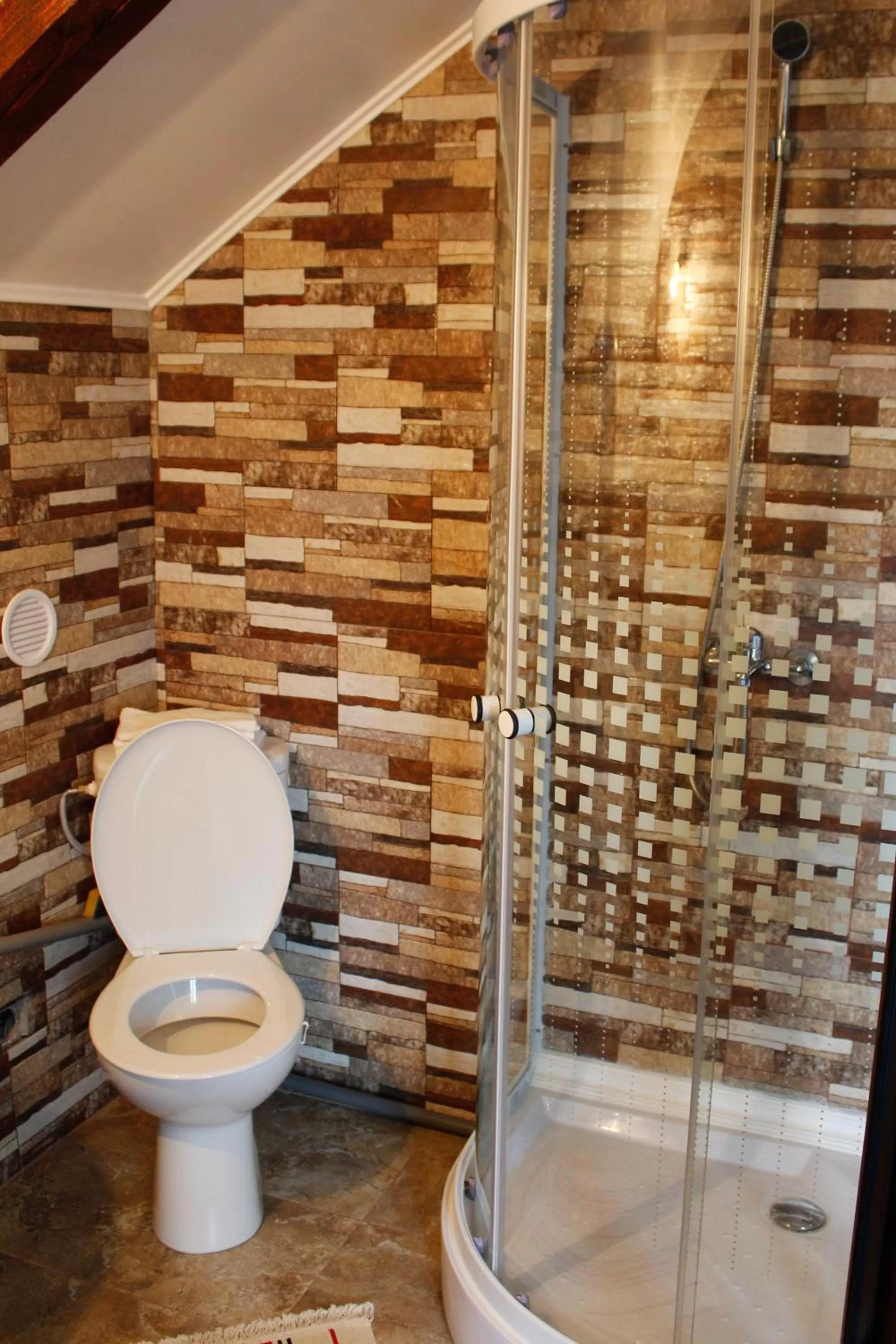 Toilet, Bathroom in Pensiunea Taverna Bucium