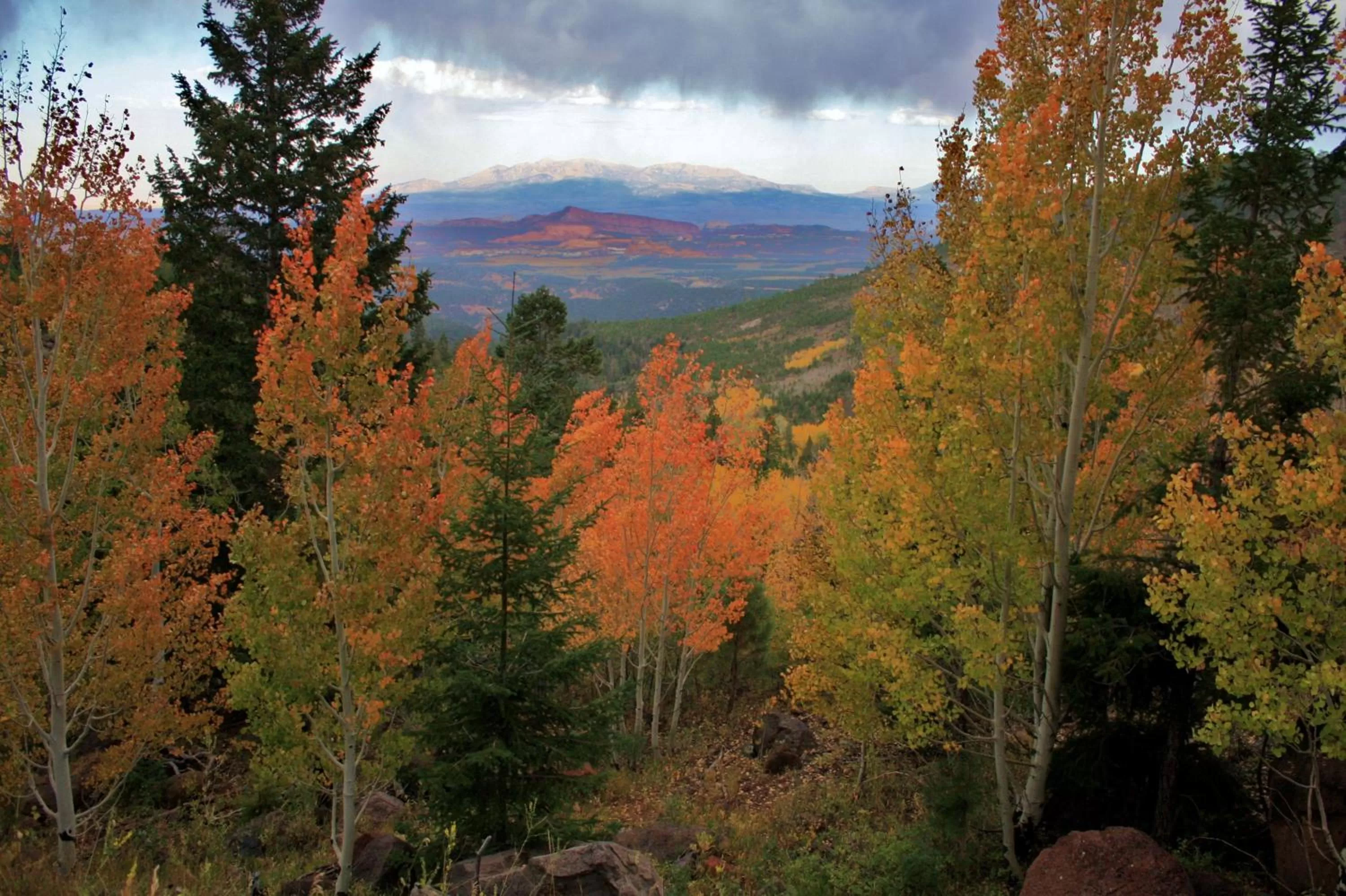 Natural landscape in The Noor Hotel